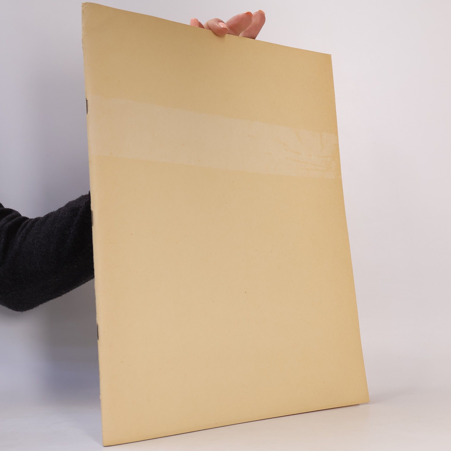 Francis Jourdain Cezanne