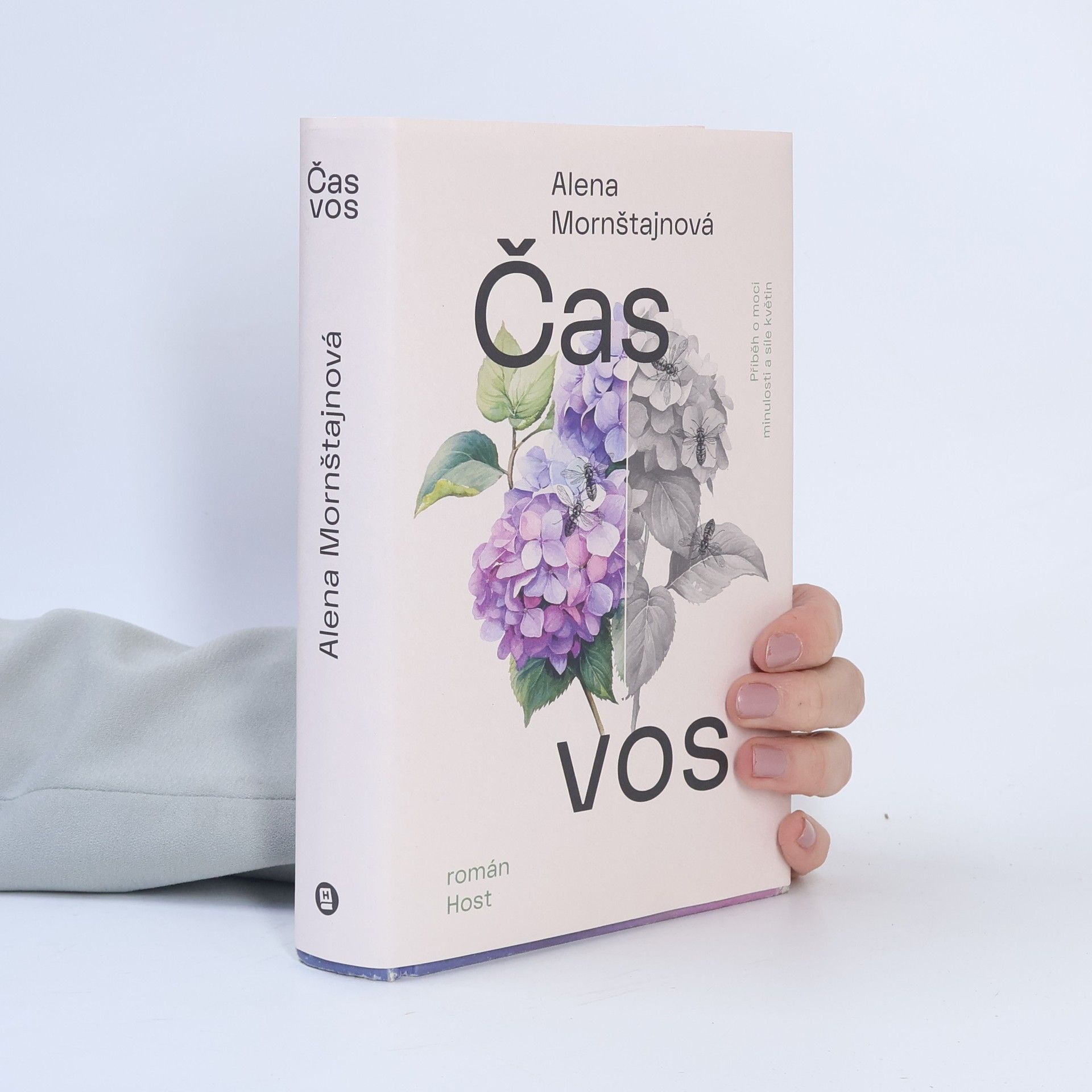 Alena Mornštajnová Čas vos