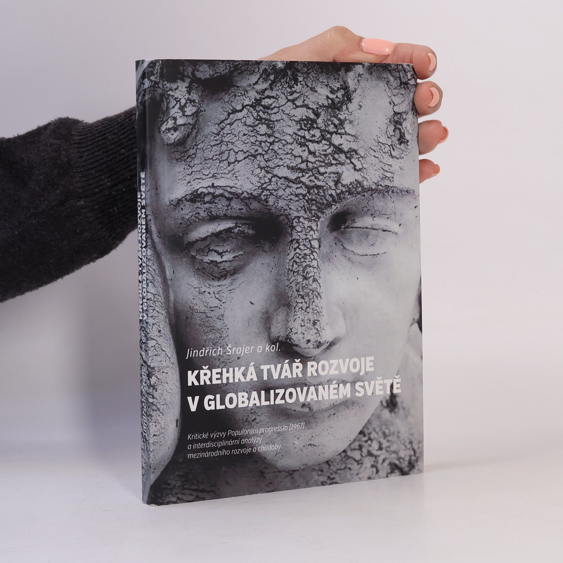 Kolektiv autorů Křehká tvář rozvoje v globalizovaném světě