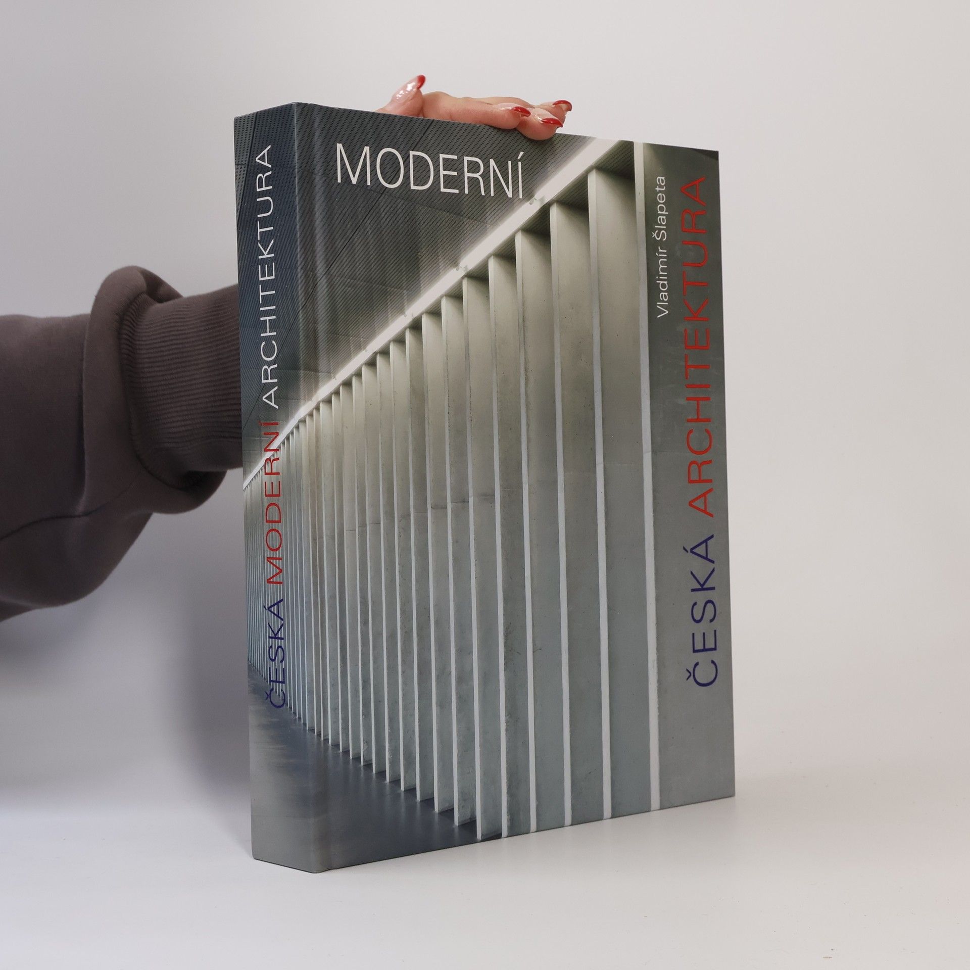 Česká moderní architektura