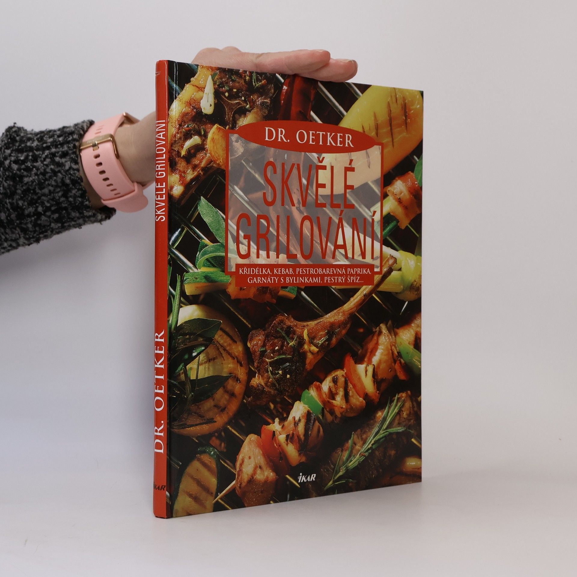 Kolektiv autorů Skvělé grilování