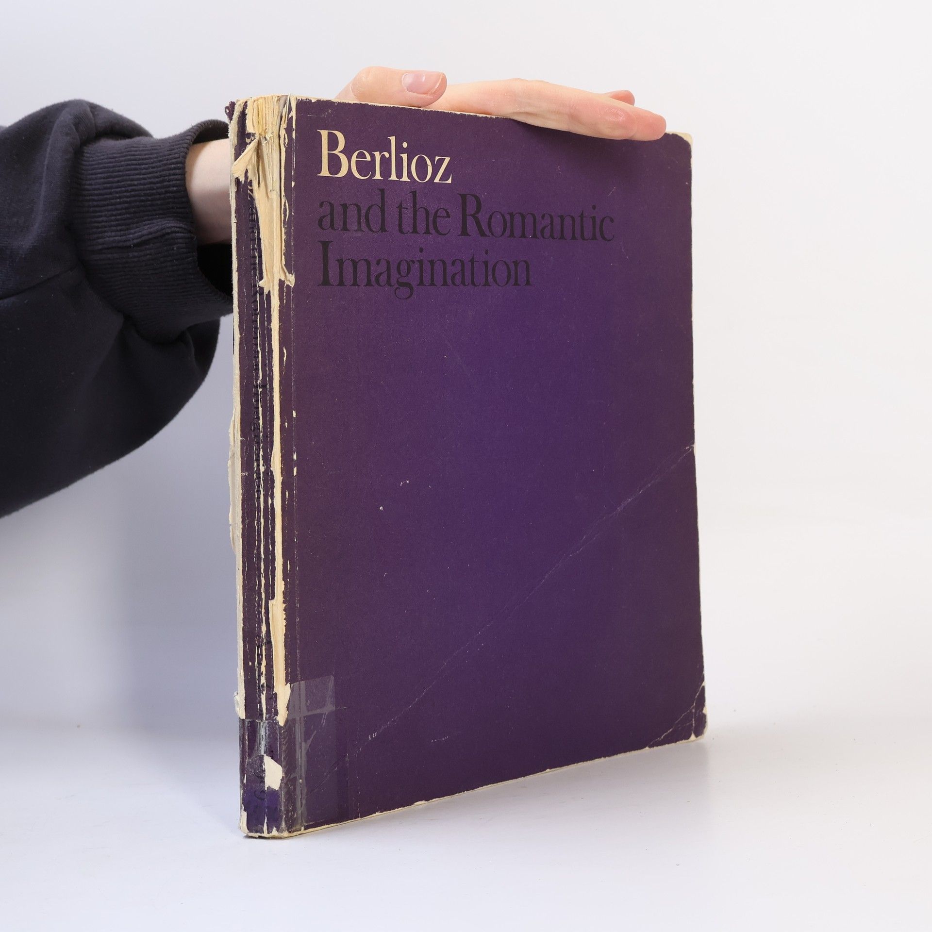 Autorenkollektiv Berlioz and the Romantic Imagination