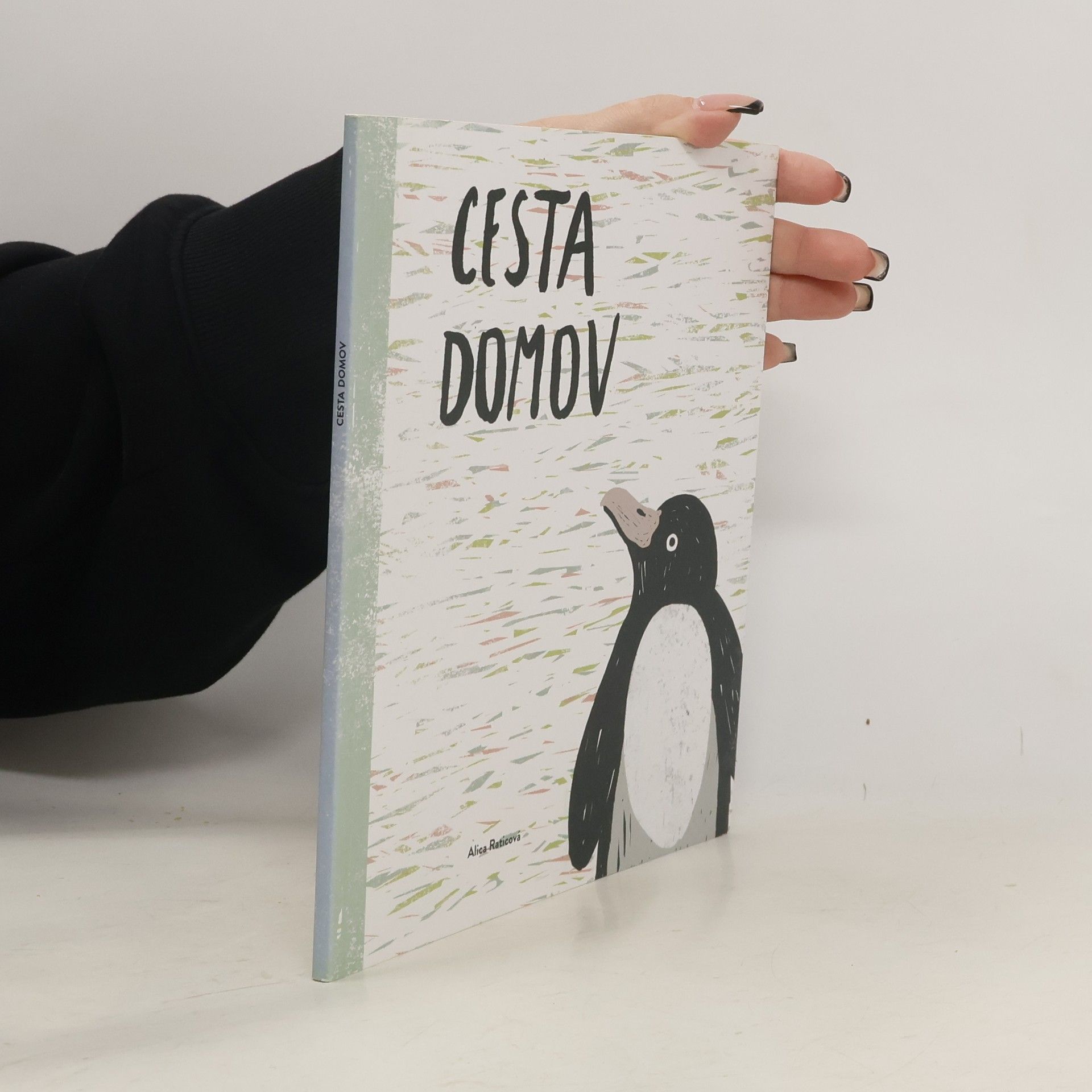 Alica Raticová Cesta domov