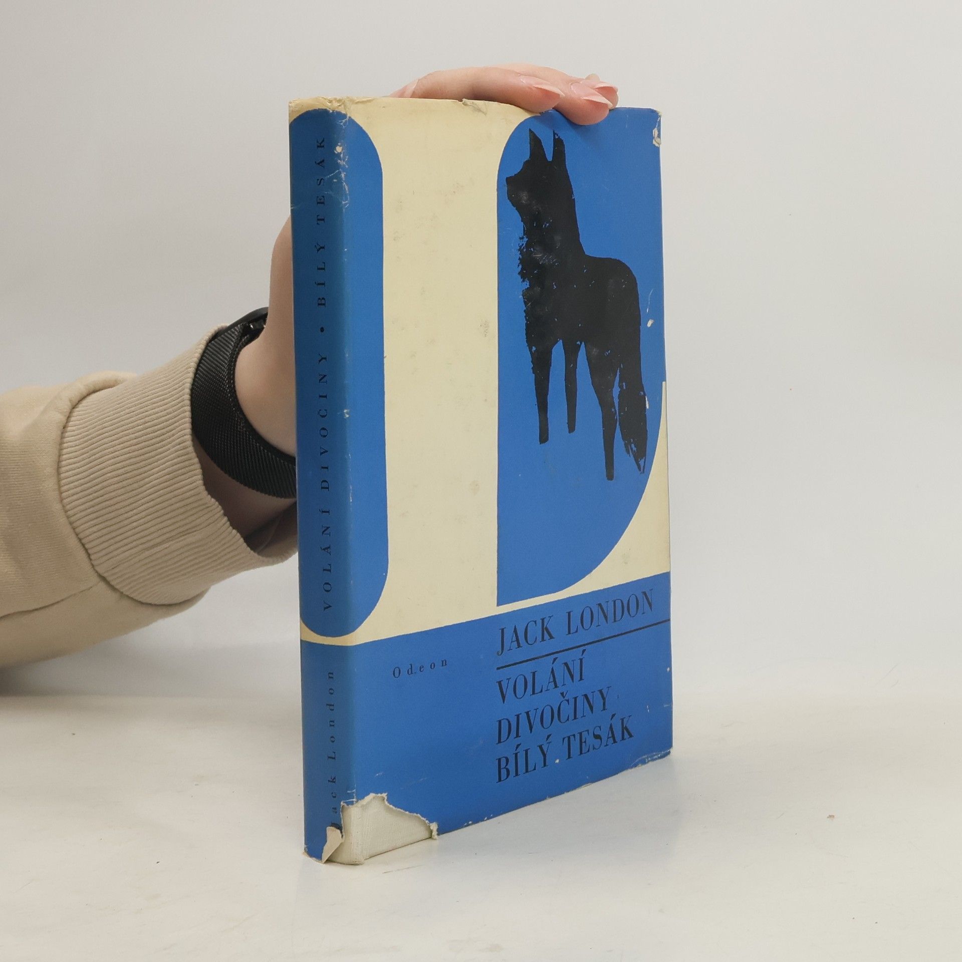 Volání divočiny. Bílý tesák