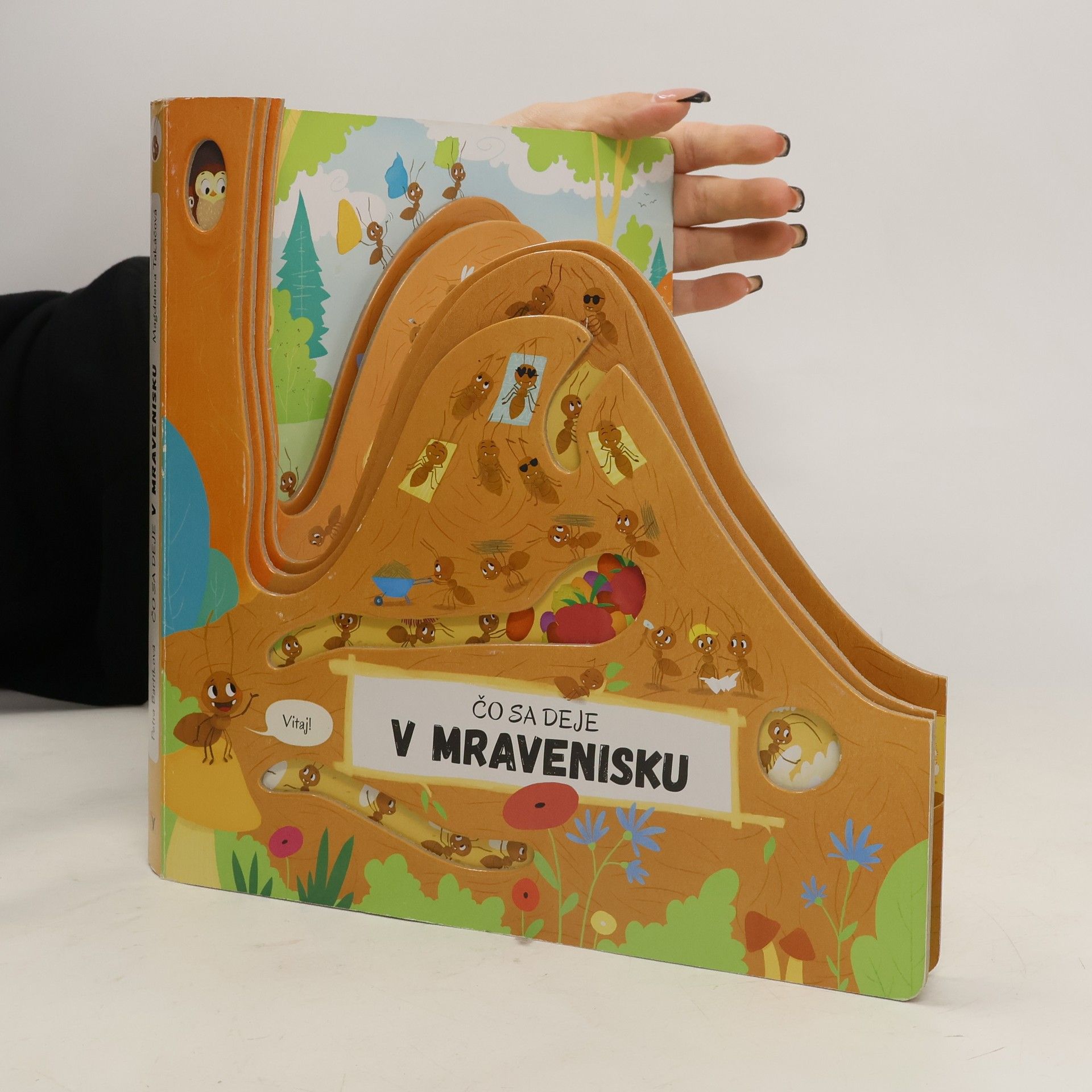 Petra Bartíková Čo sa deje v mravenisku