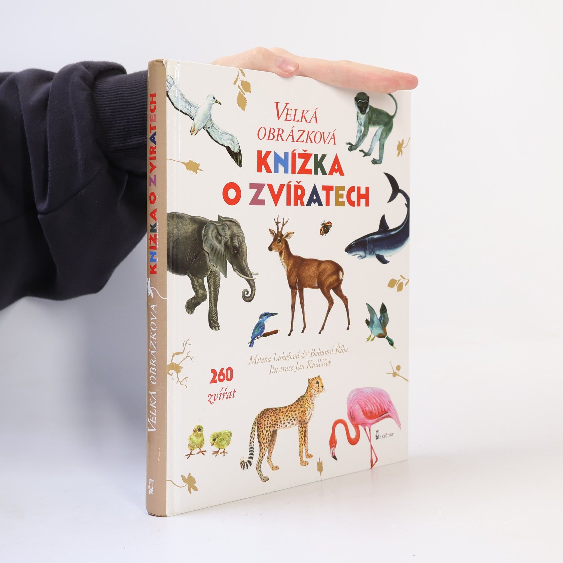Milena Lukešová Velká obrázková knížka o zvířatech. 260 zvířat od A do Z