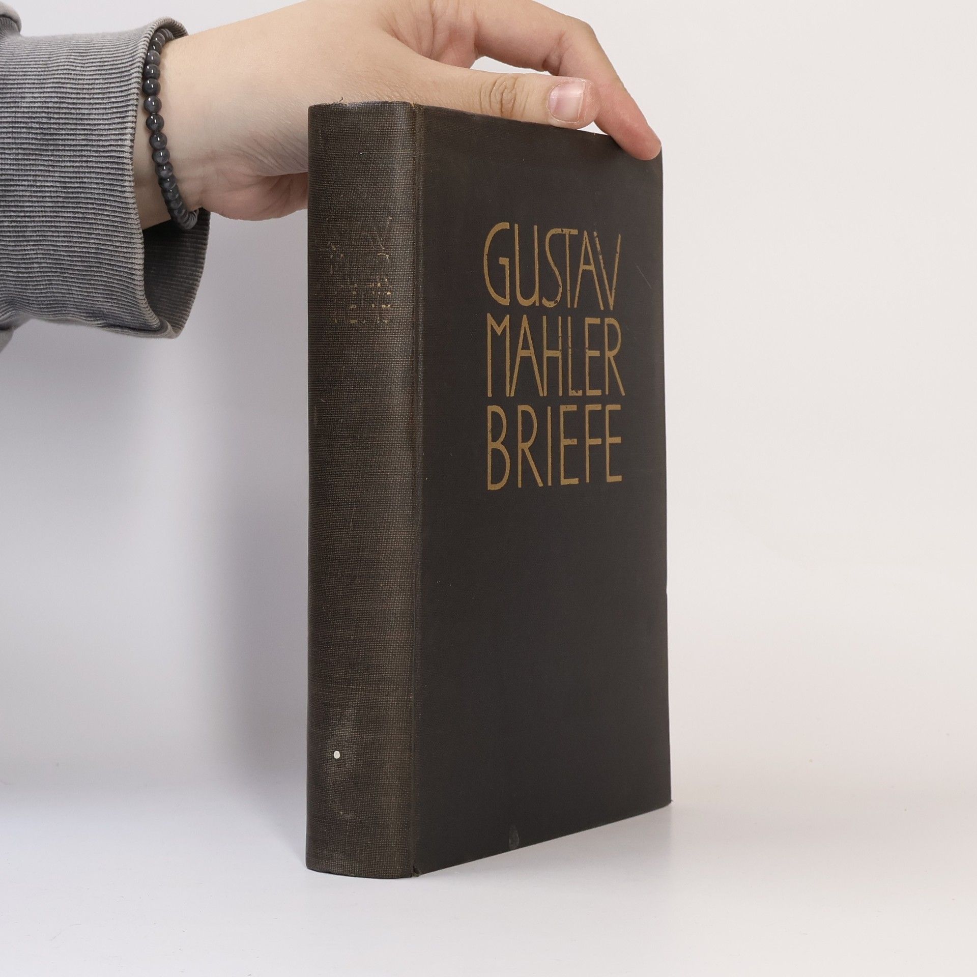 Gustav Mahler Briefe 1879-1911