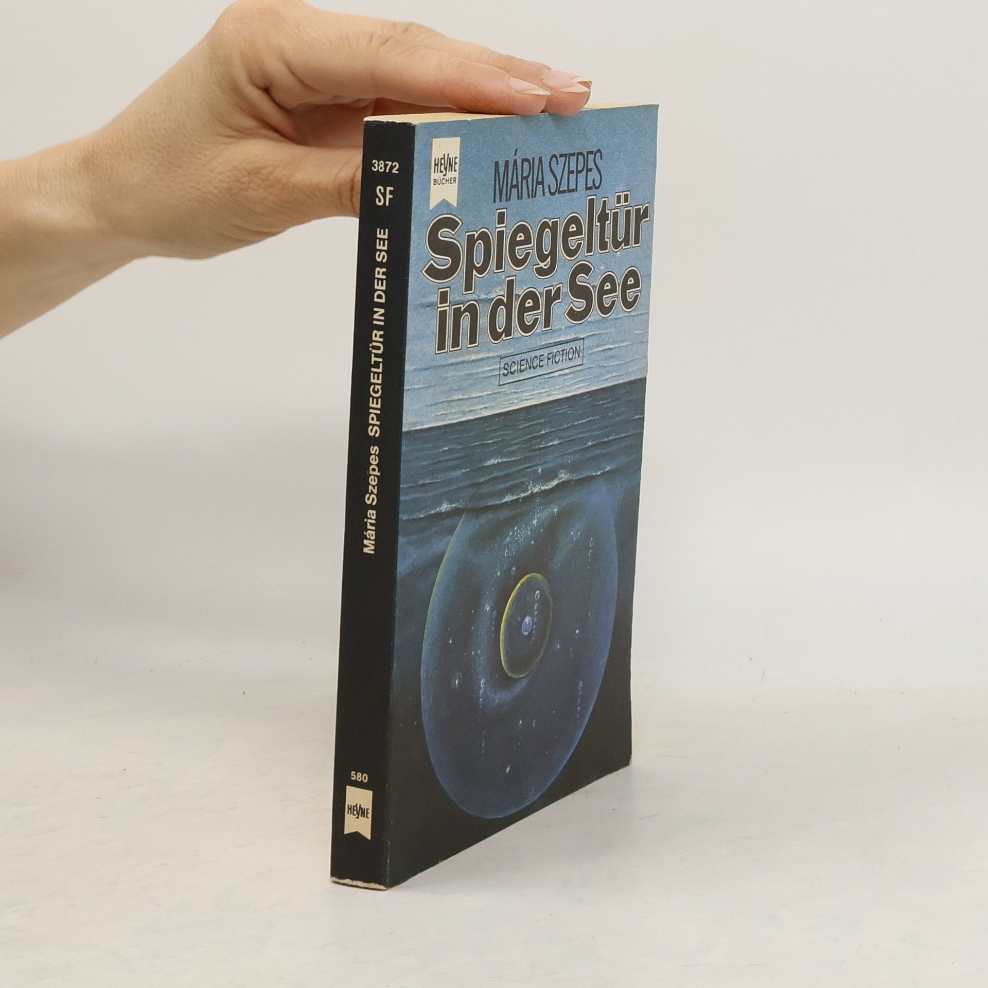 Spiegeltür in der See.