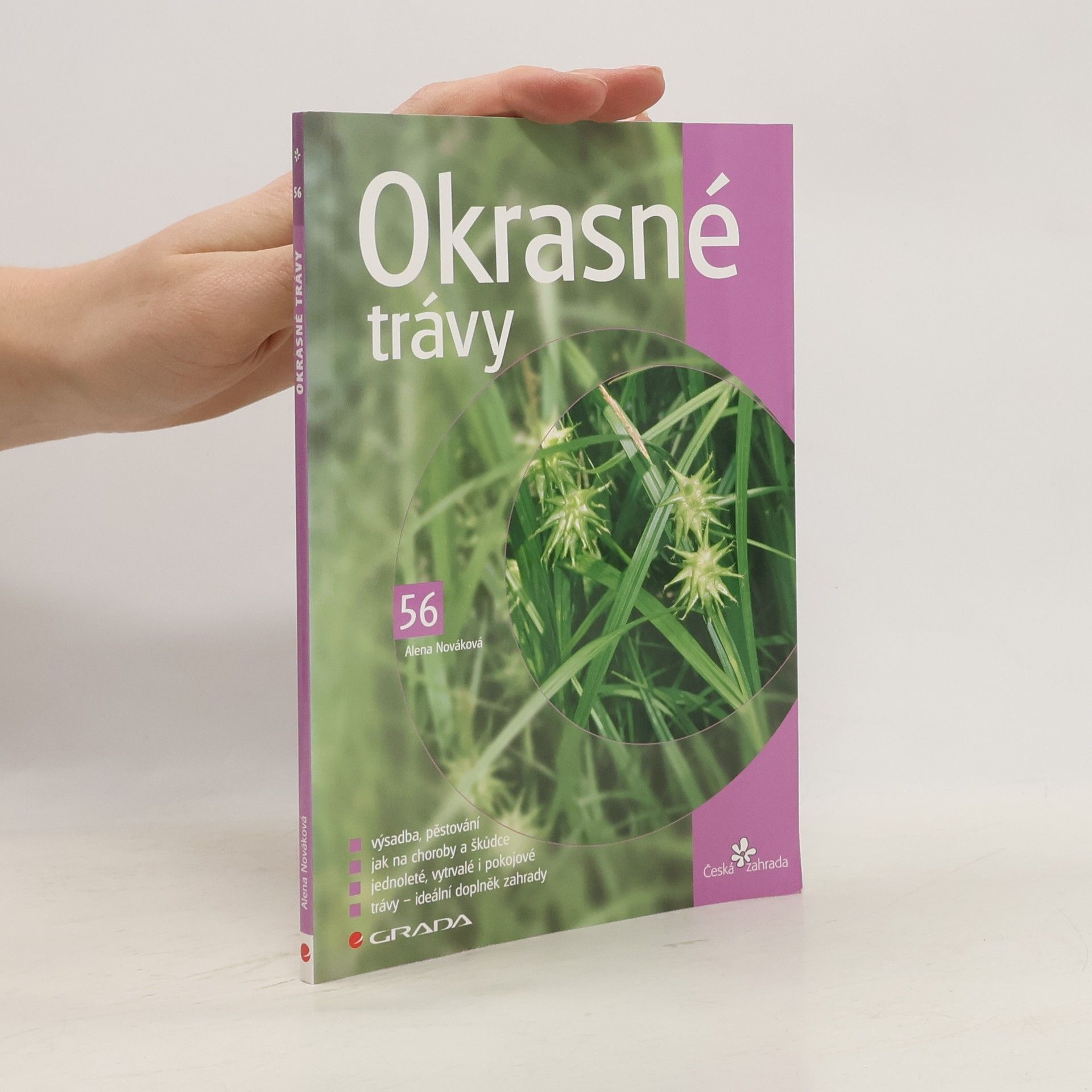 Alena Nováková Okrasné trávy