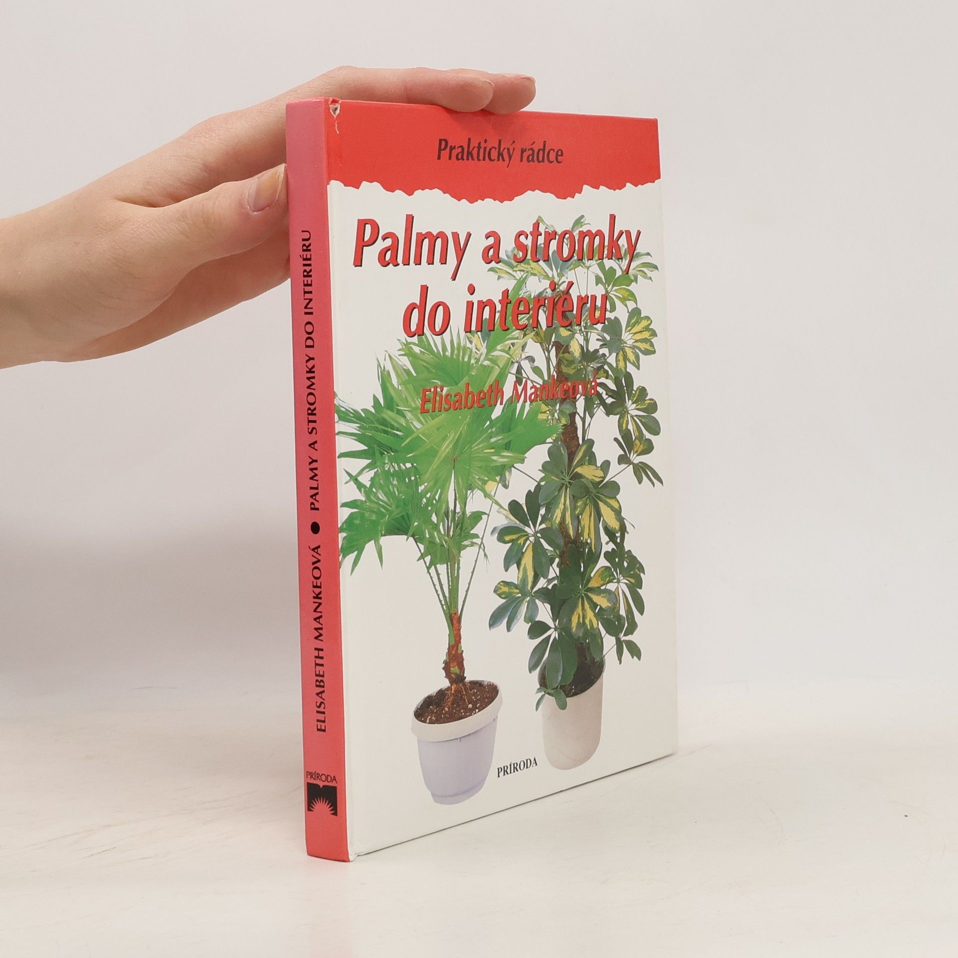 Palmy a stromky do interiéru