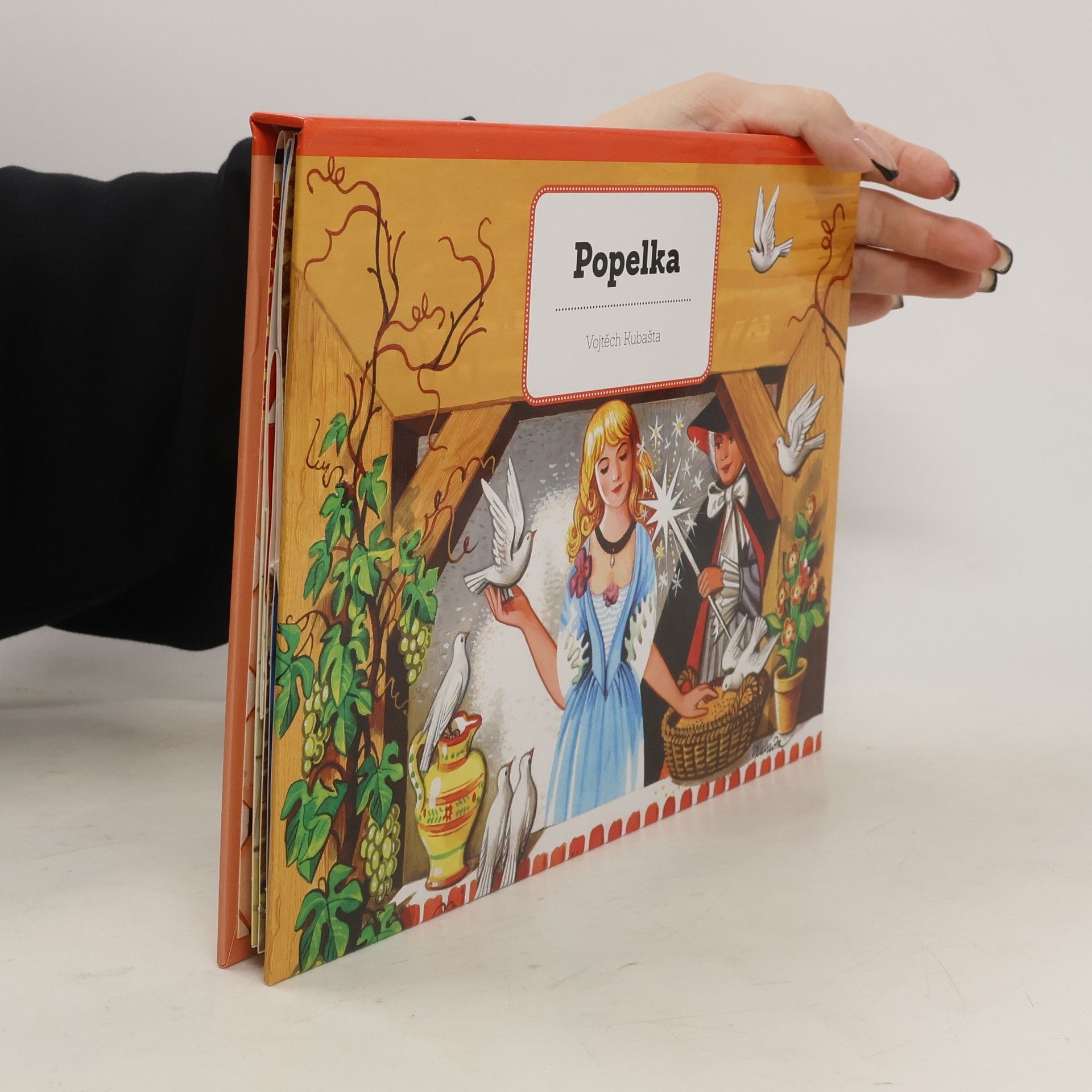 Vojtěch Kubašta Popelka