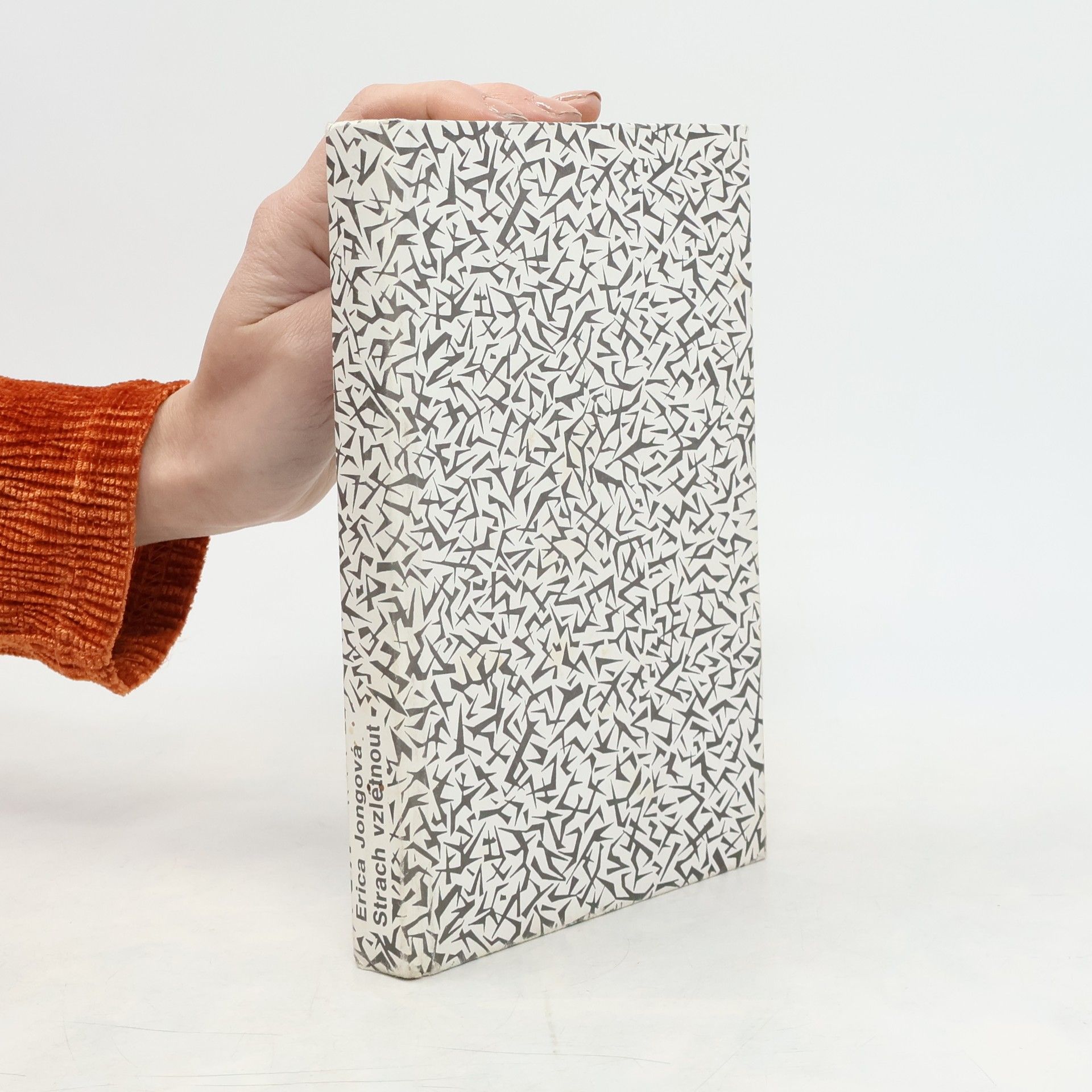 Erica Jong Strach vzlétnout