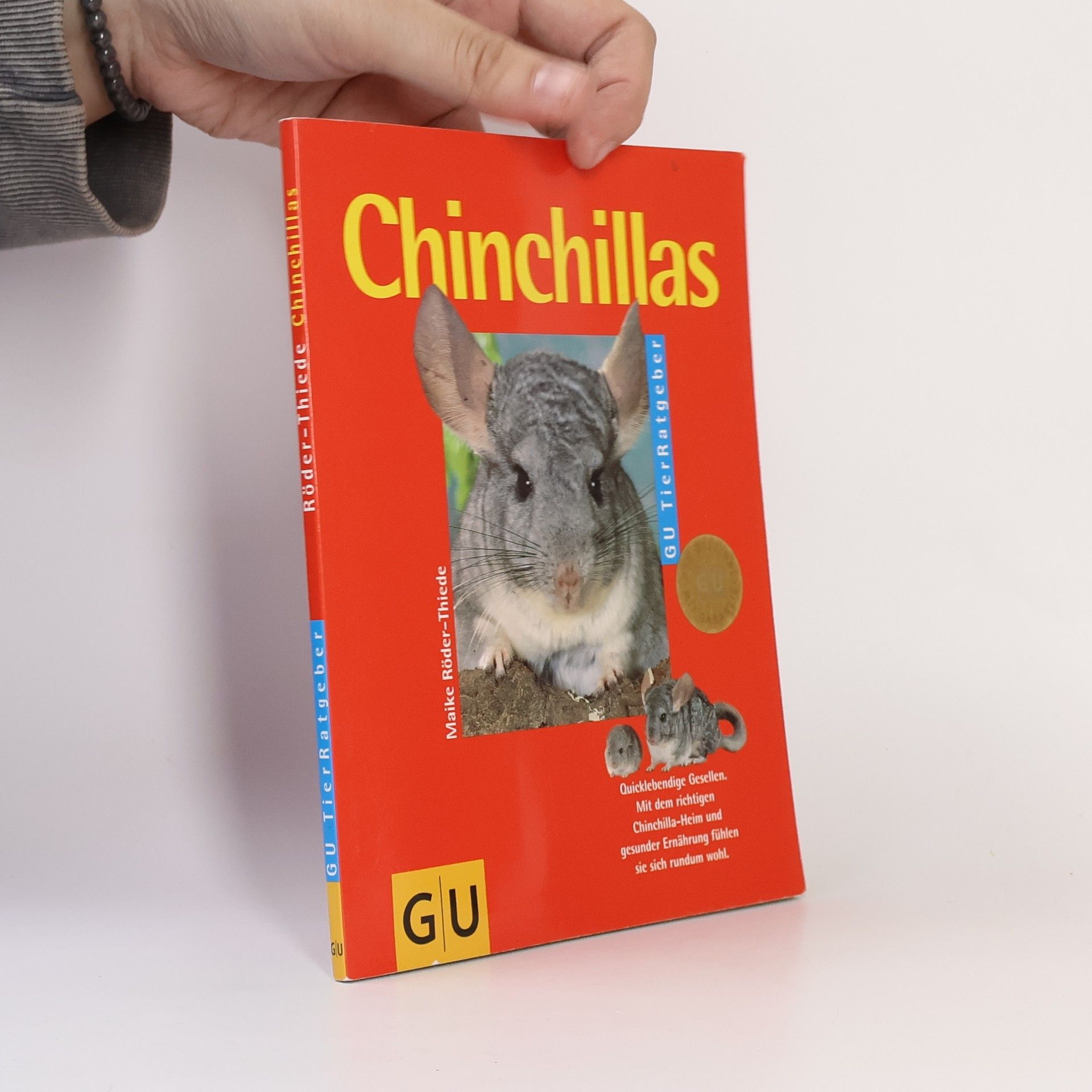 Maike RöderThiede Chinchillas