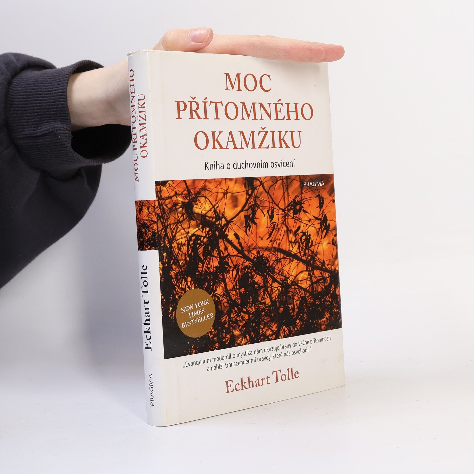 Eckhart Tolle Moc přítomného okamžiku