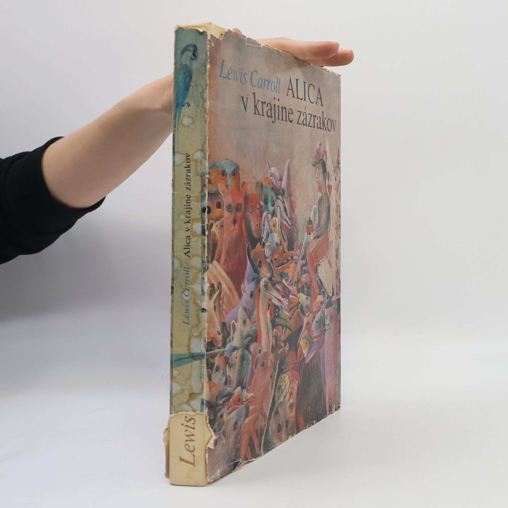Lewis Carroll Alica v krajine zázrakov