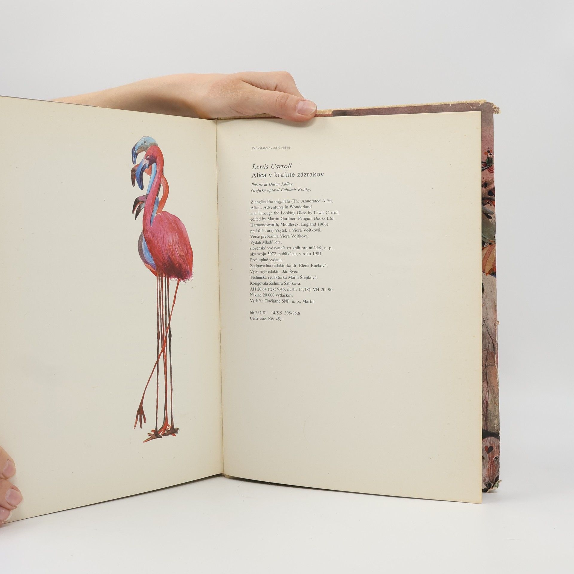 Lewis Carroll Alica v krajine zázrakov