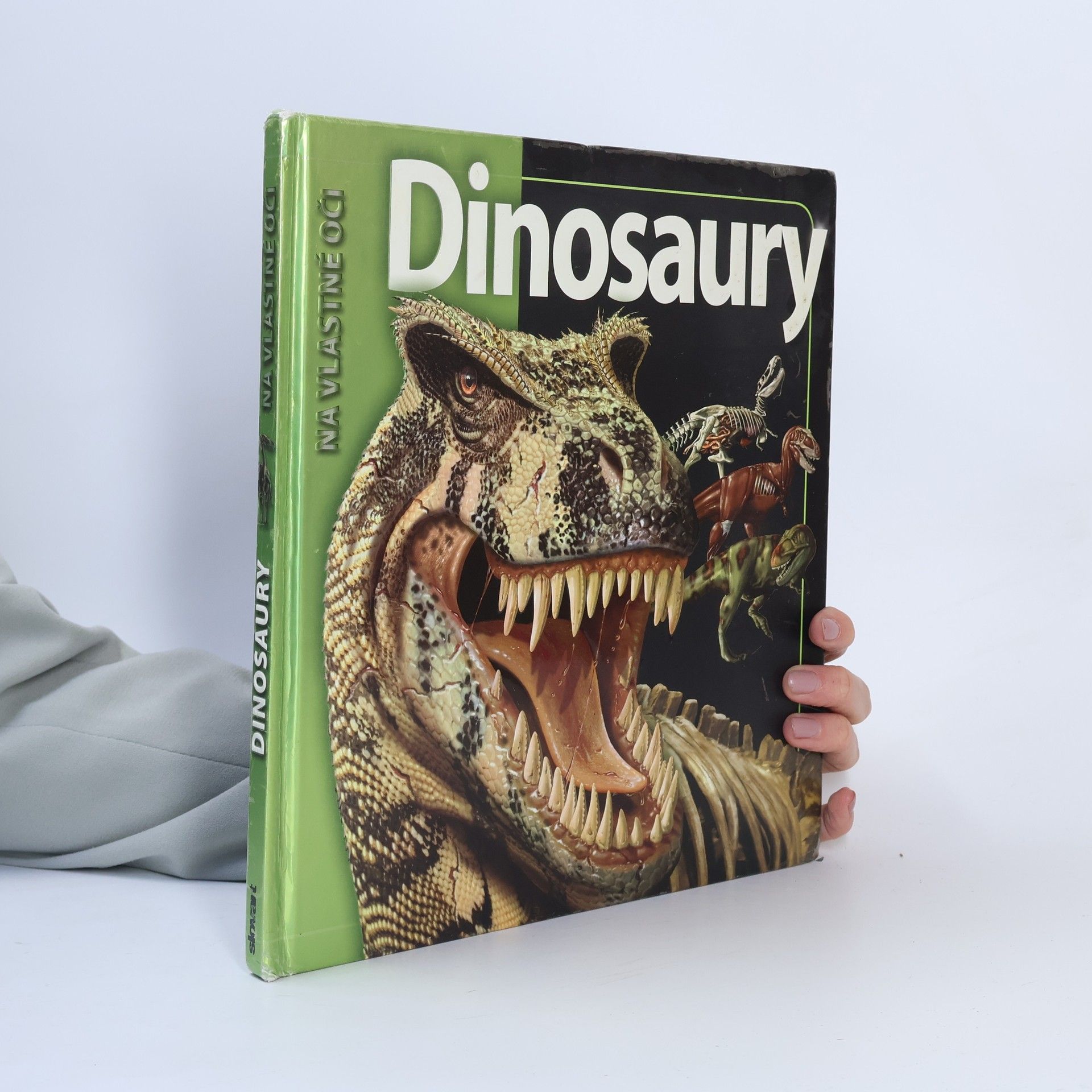 Autorenkollektiv Dinosaury