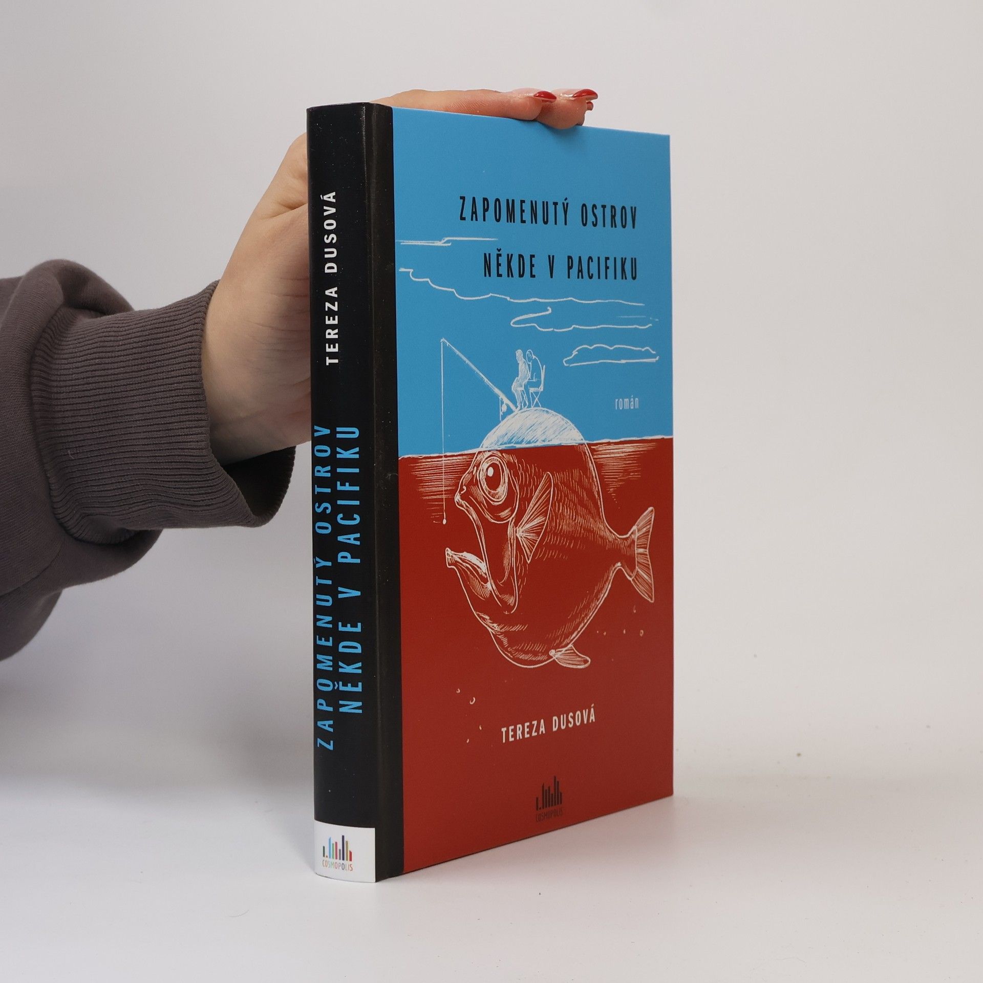 Petr Fousek Zapomenutý ostrov někde v Pacifiku