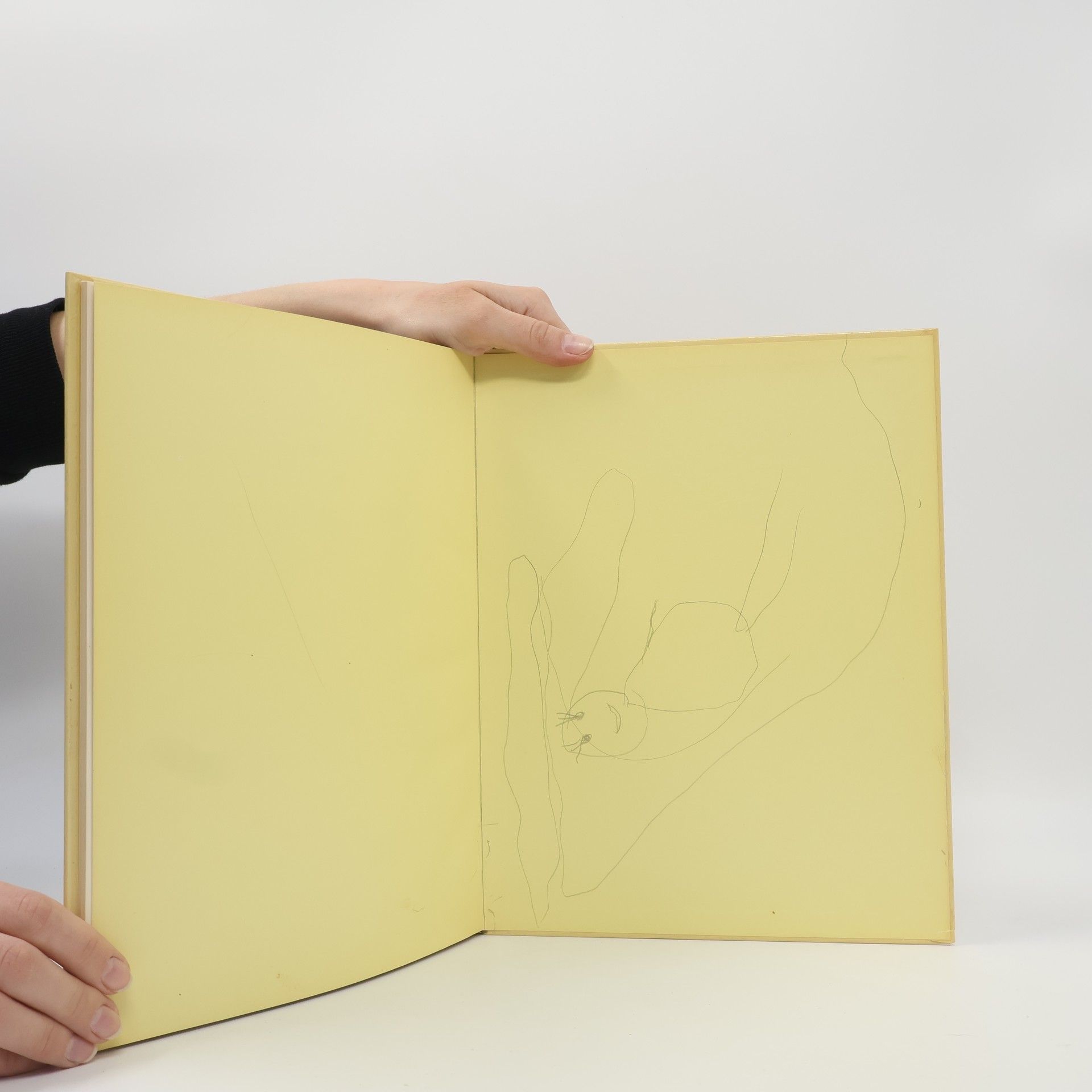 Collectif d'auteurs Finist, jasný sokol