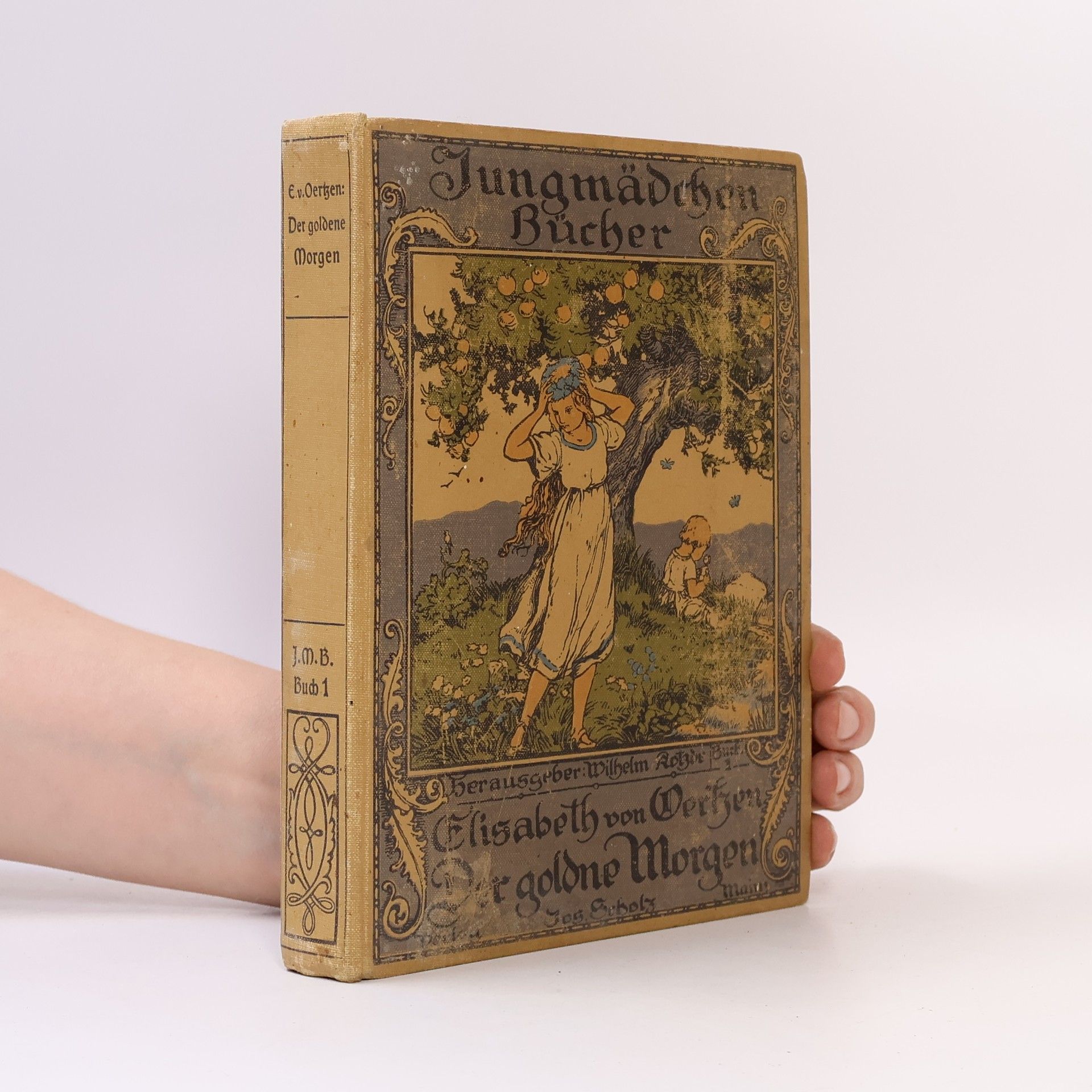 Elisabeth von Oertzen Der goldene Morgen