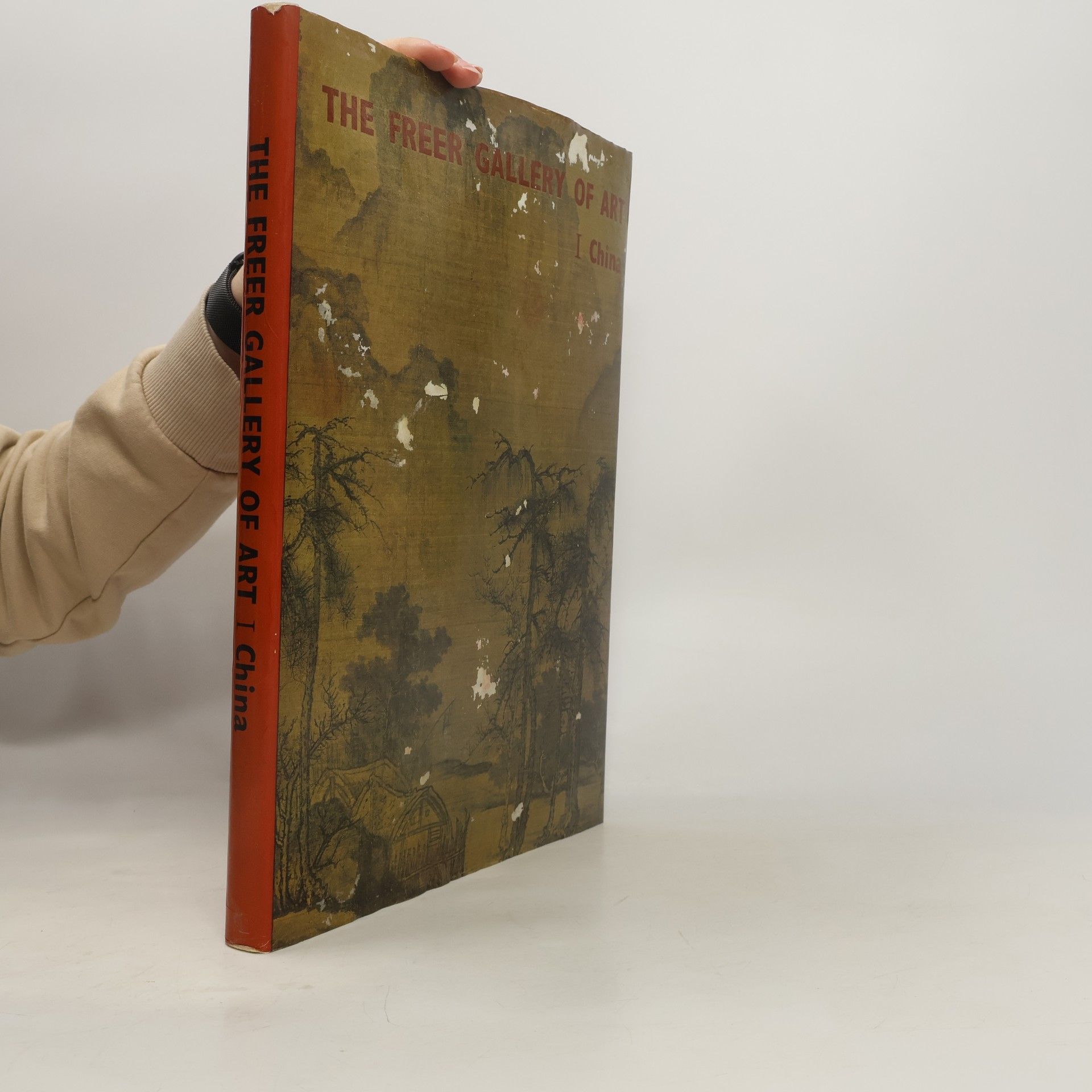 Kolektiv autorů The Freer Galerry of Art I. China