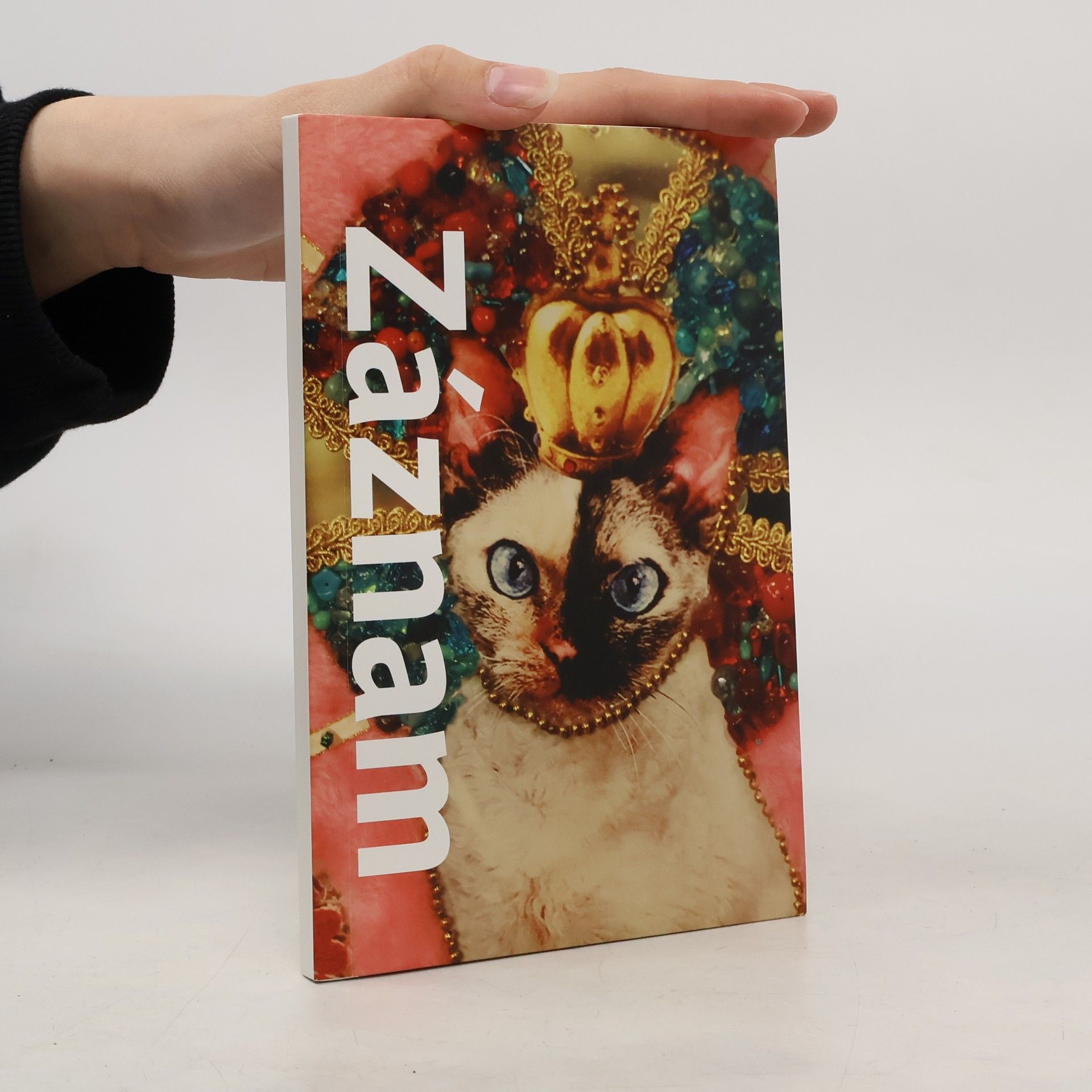 Monika Pascoe Mikyšková Záznam o tichu