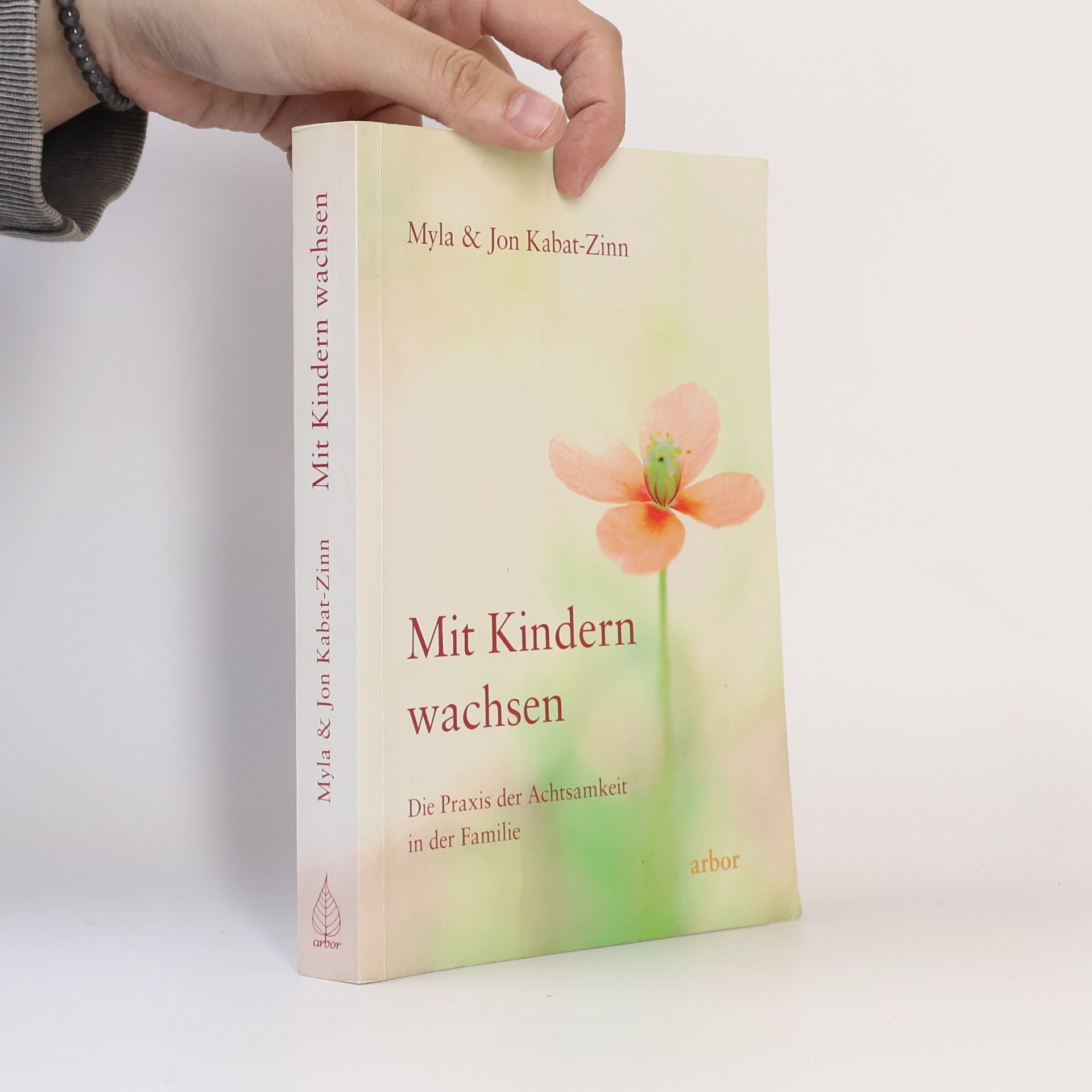 Myla Kabat zinn Mit Kindern wachsen