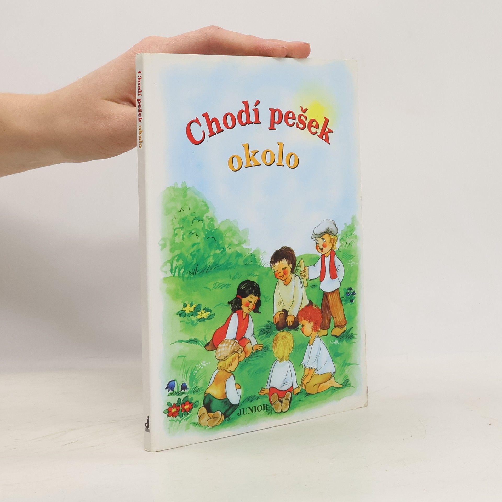 Vladimíra Vopičková Chodí pešek okolo (leporelo)