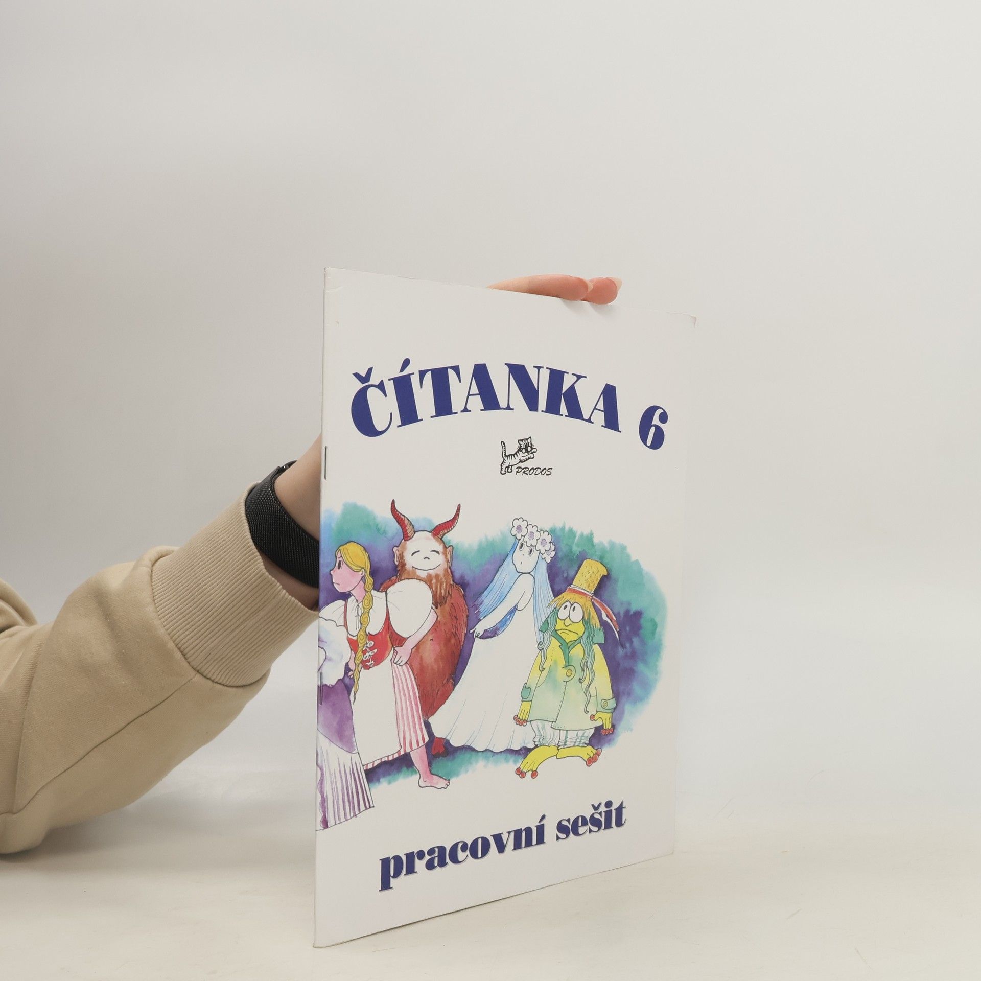 Čítanka 6 : pracovní sešit