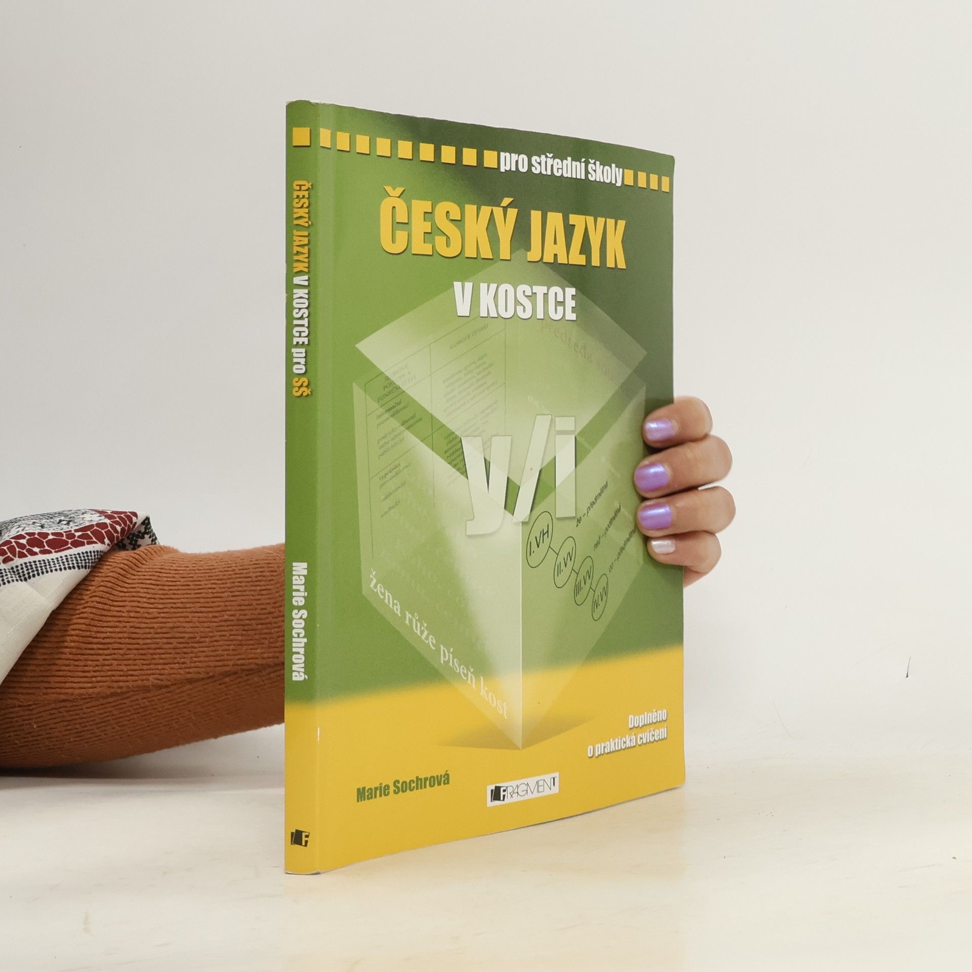 Marie Sochrová Český jazyk v kostce : pro střední školy