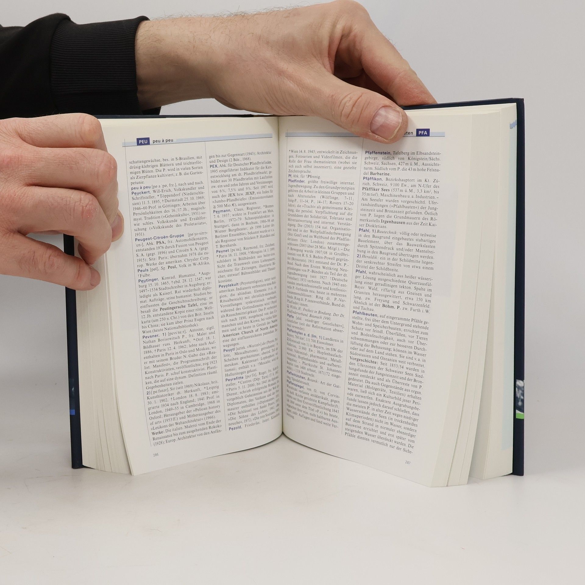 Autorenkollektiv Die Zeit. Das Lexikon 11