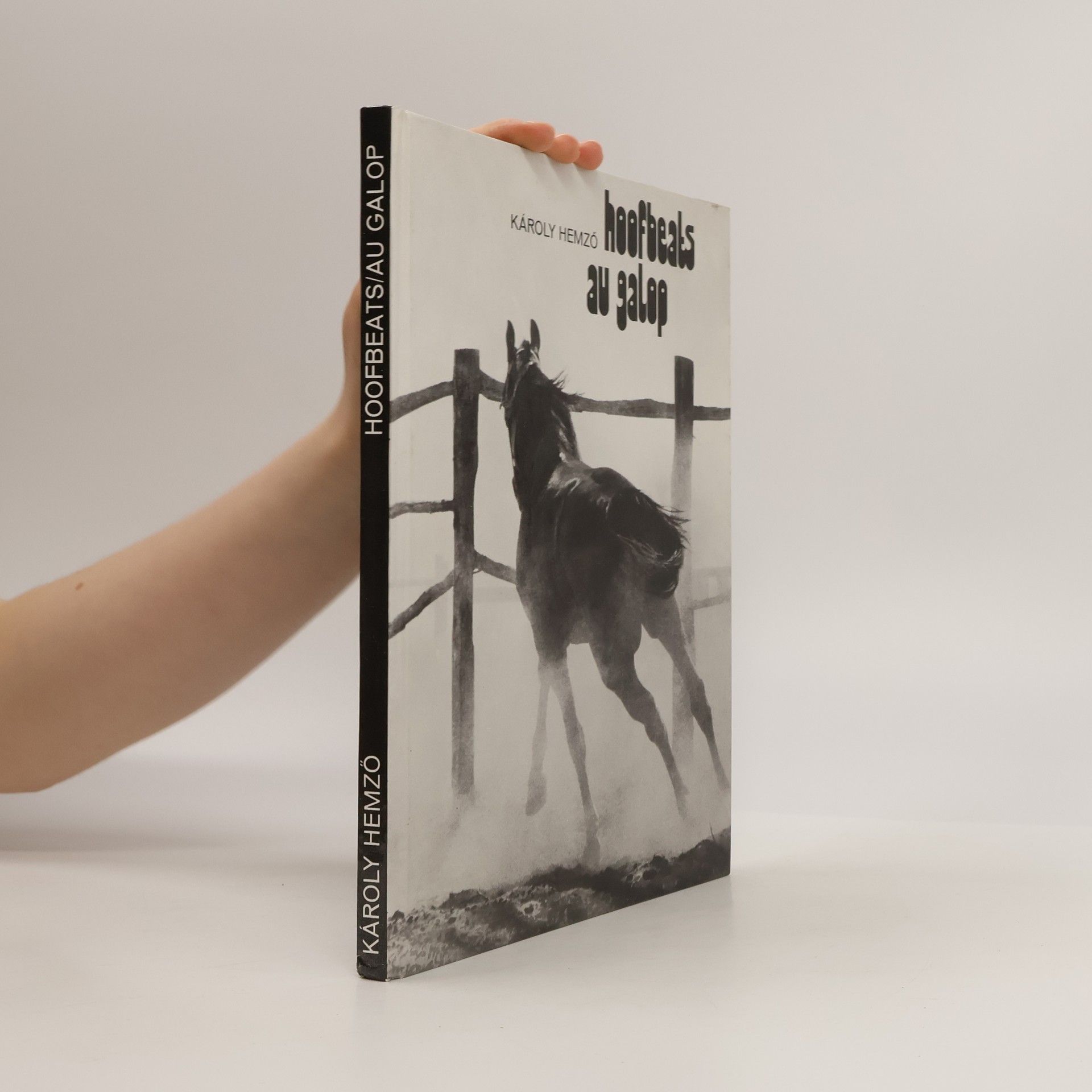 Károly Hemzo Hoofbeats au galop