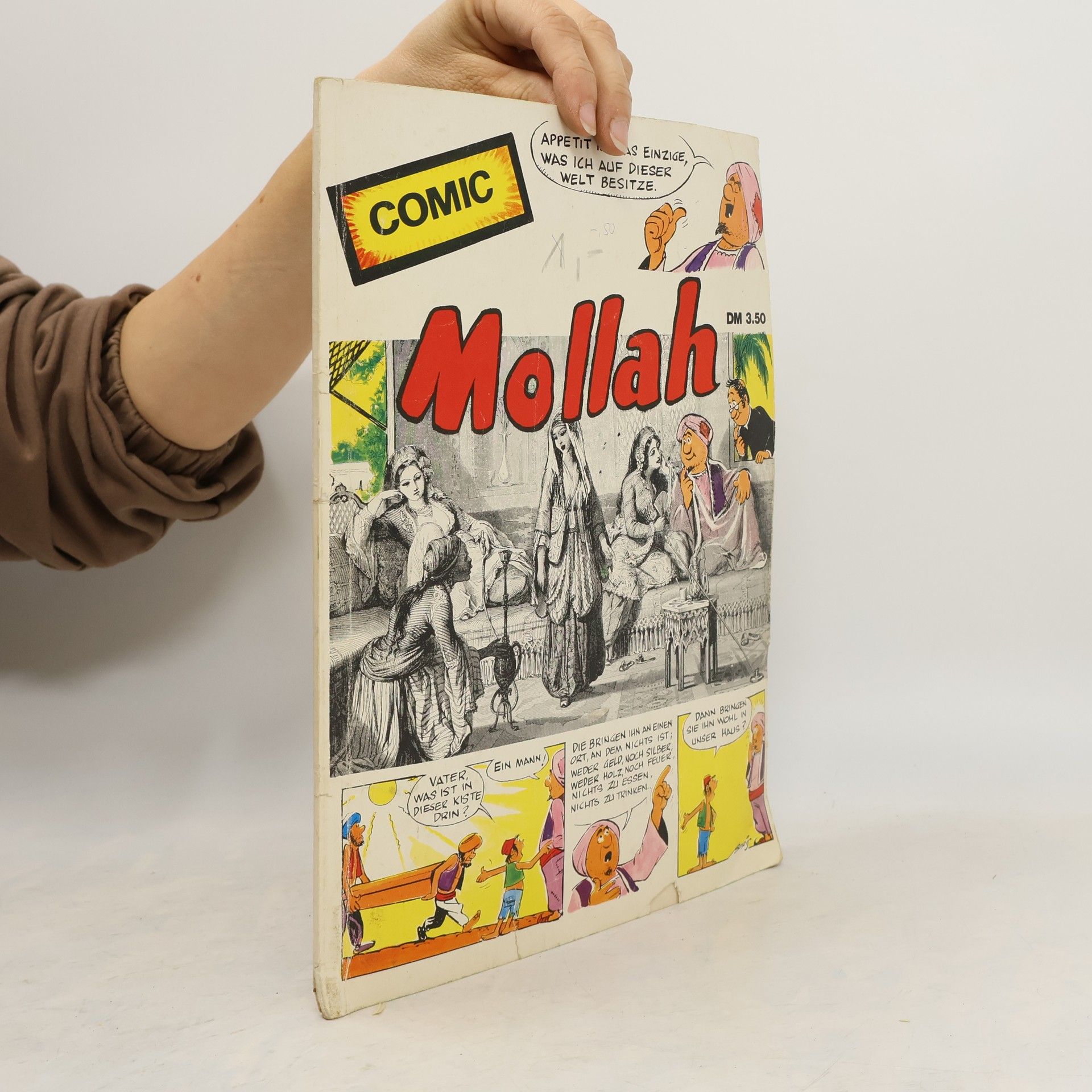 Kolektív autorov Mollah. Zeichnungen.