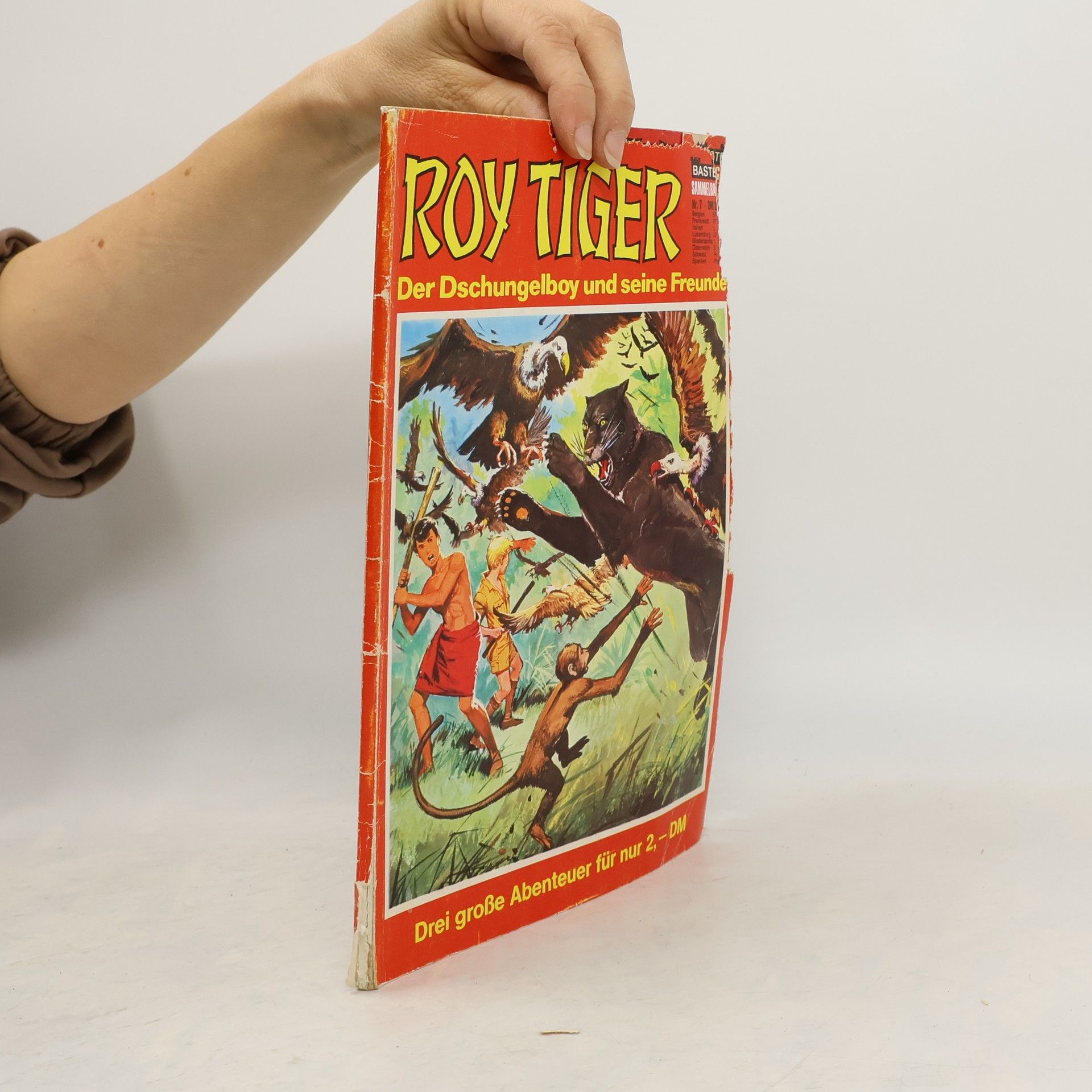 Autorenkollektiv Roy Tiger Nr. 7