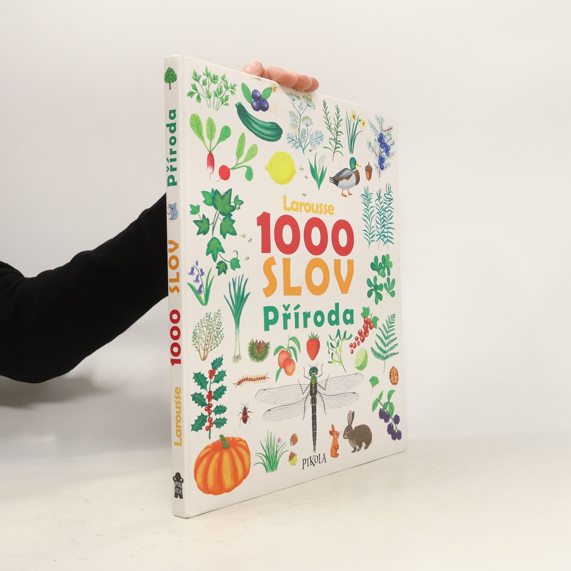 Kateřina Kyslíková 1000 slov : příroda