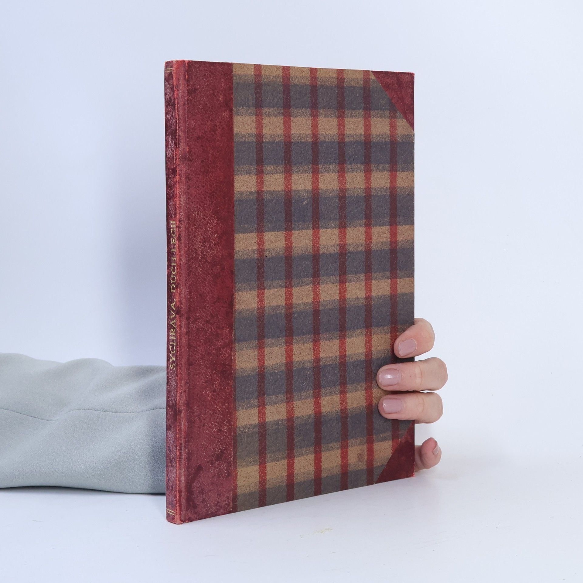 Lev Sychrava Duch legií