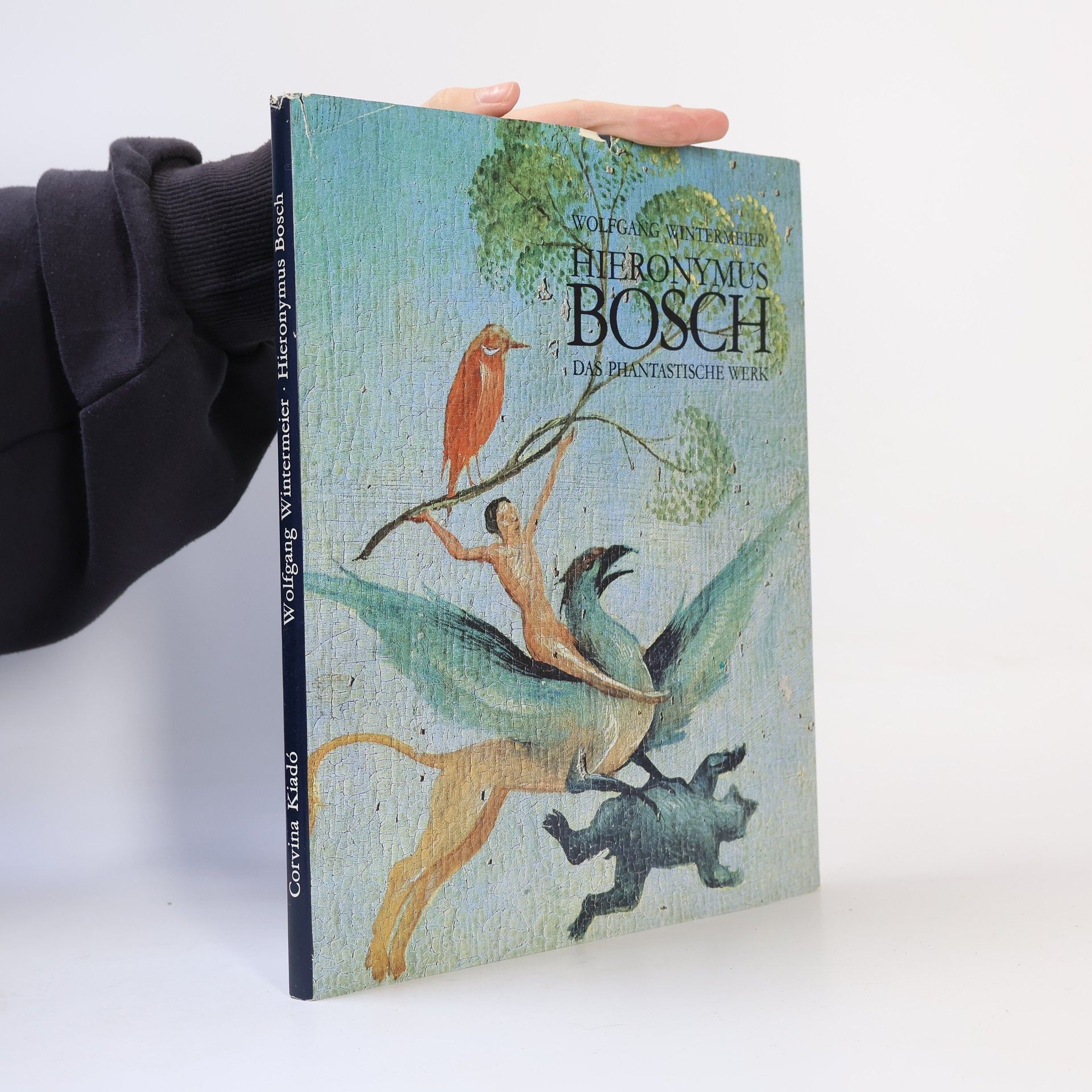 Wolfgang Wintermeier Hieronymus Bosch