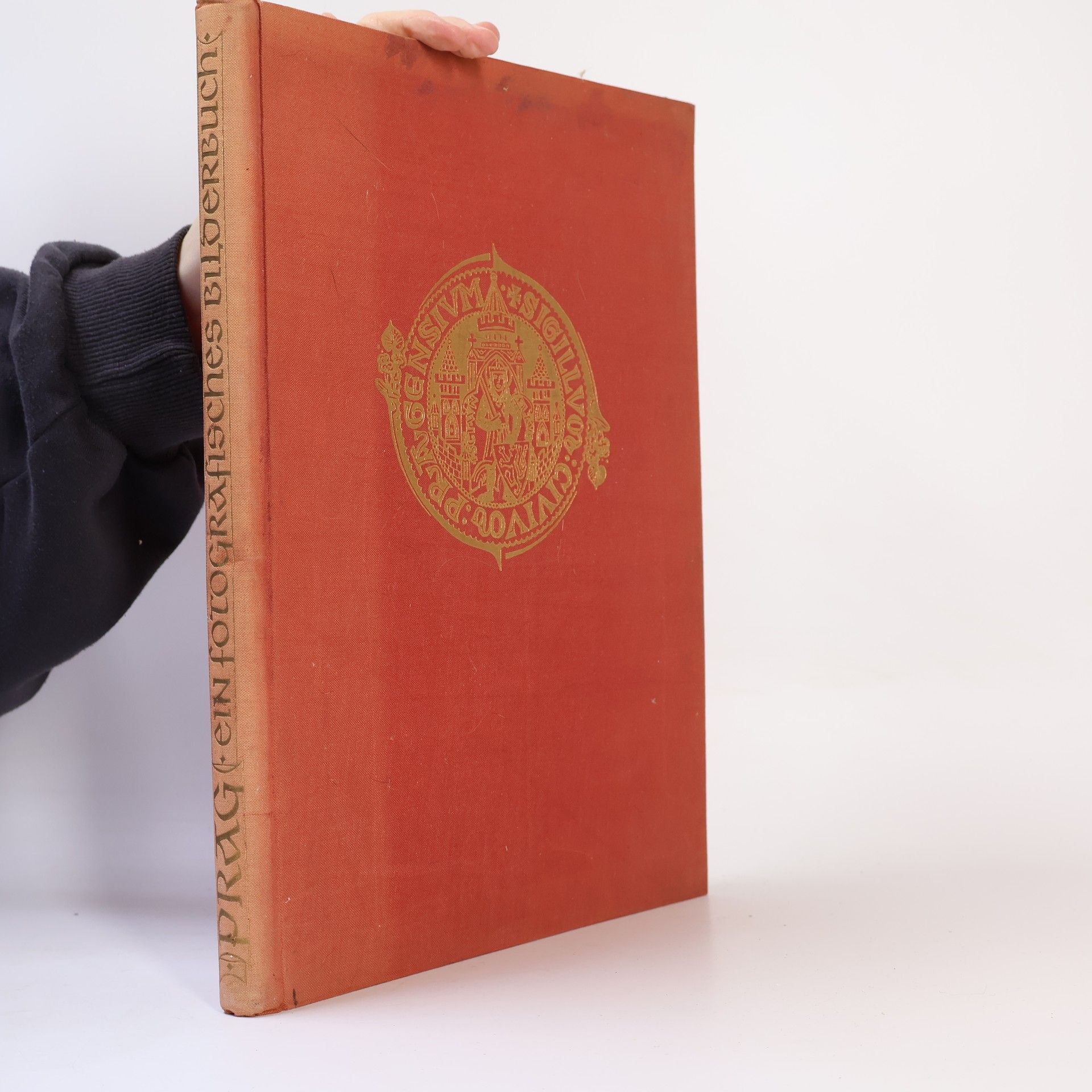 Karel Plicka Prag, ein fotografisches Bilderbuch