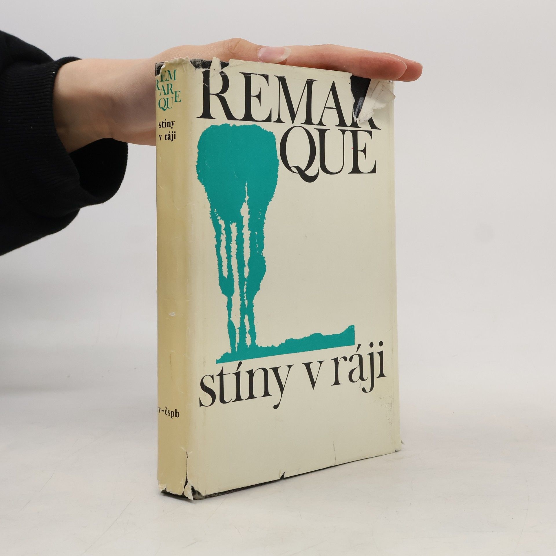 Erich Maria Remarque Stíny v ráji
