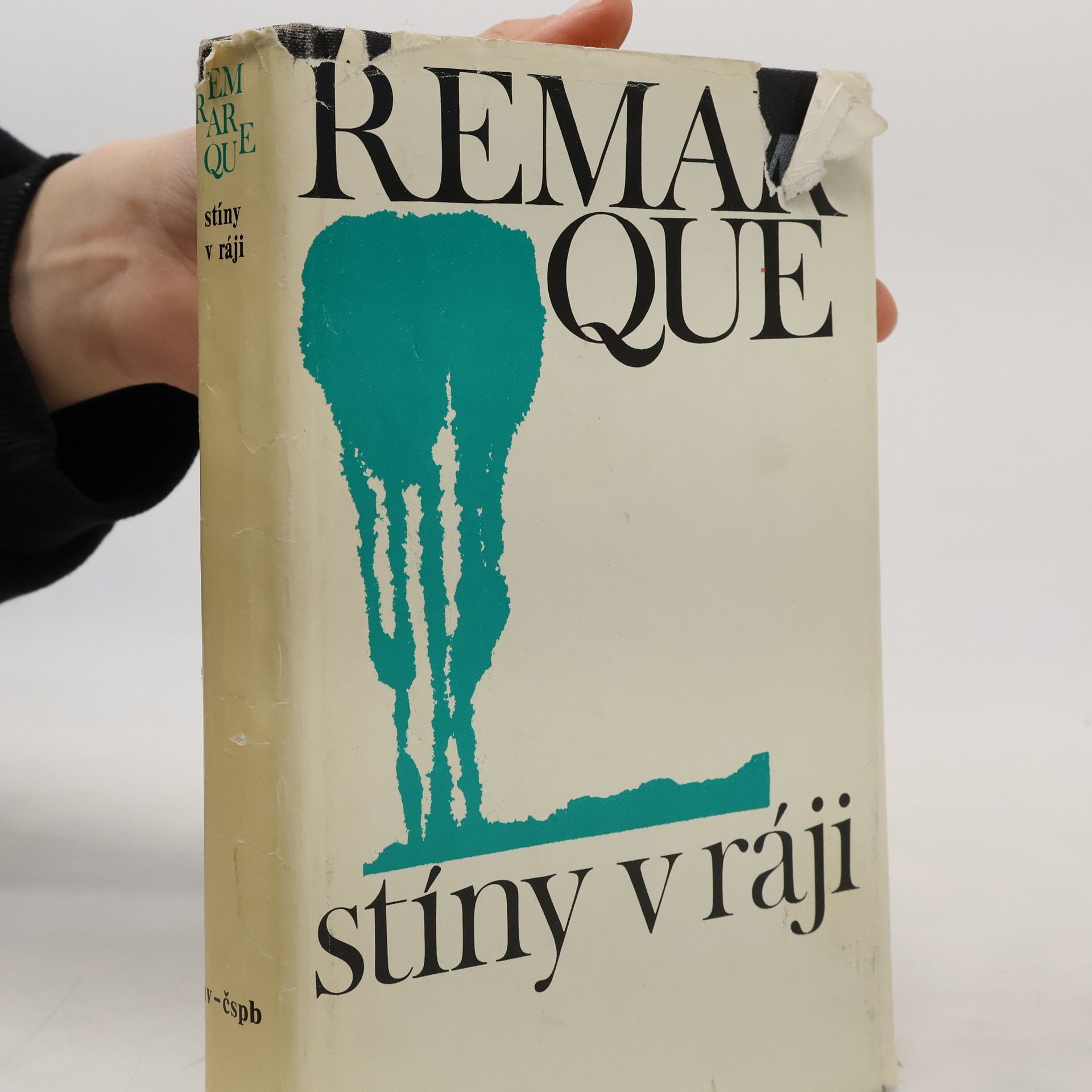 Erich Maria Remarque Stíny v ráji