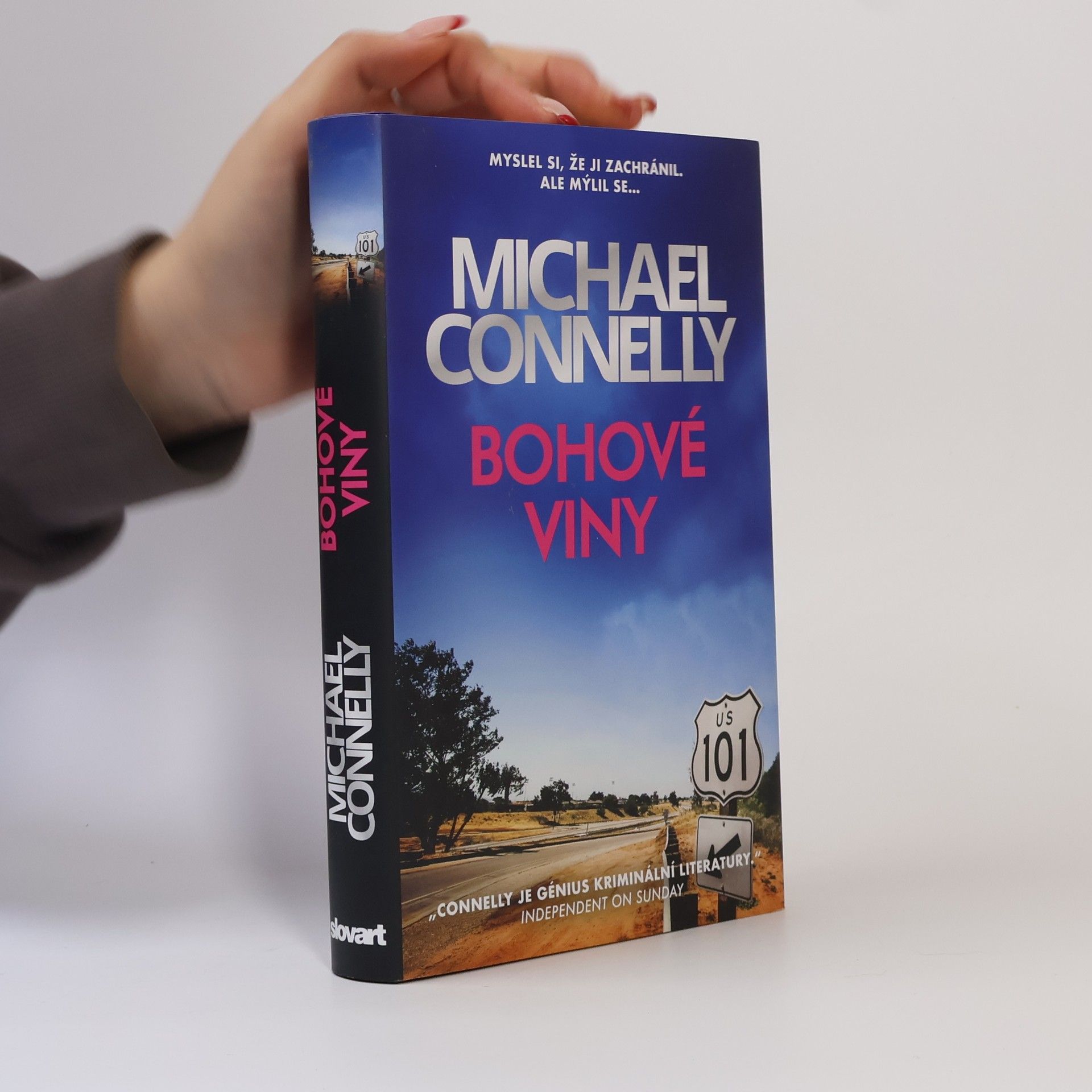 Michael Connelly Bohové viny