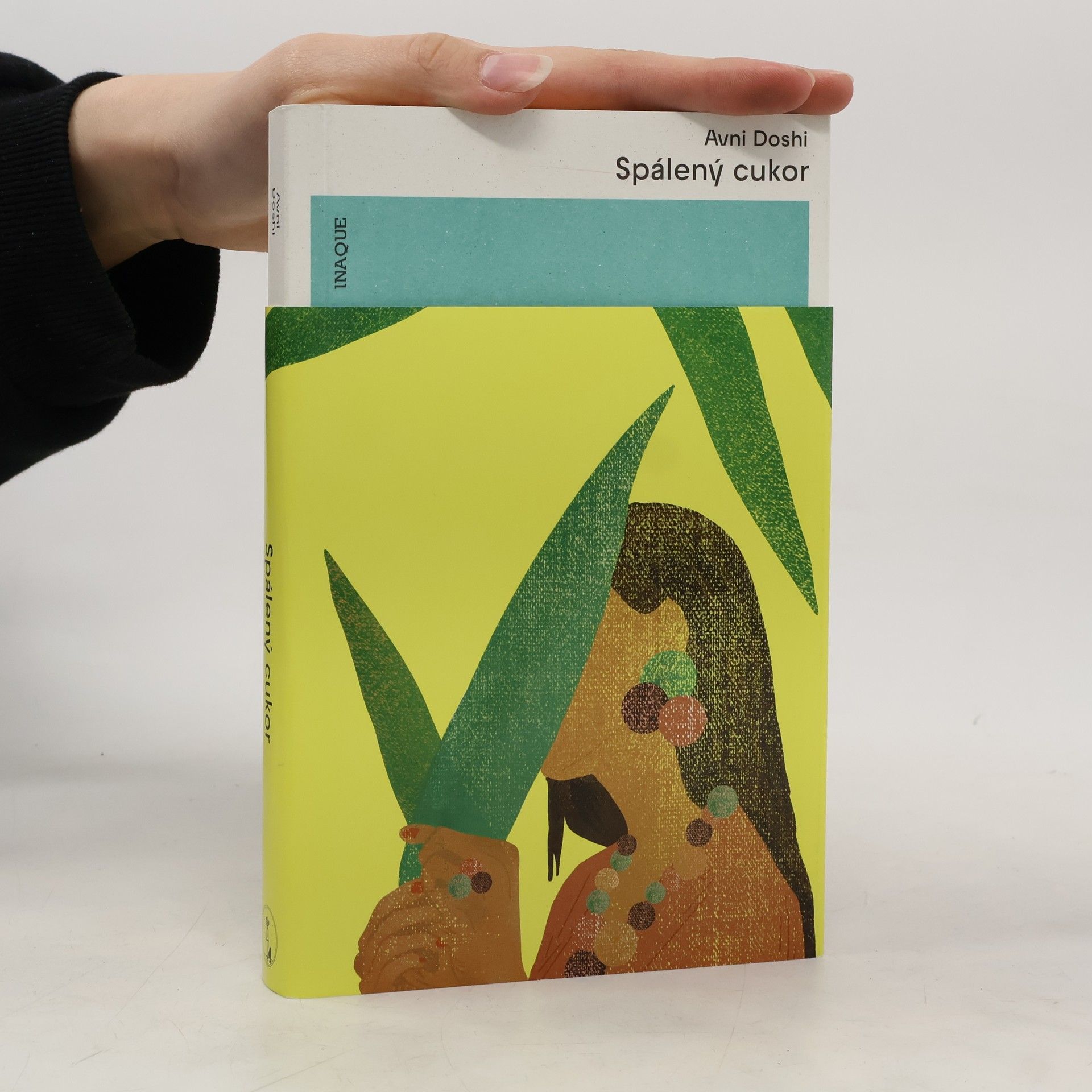 Avni Doshi Spálený cukor