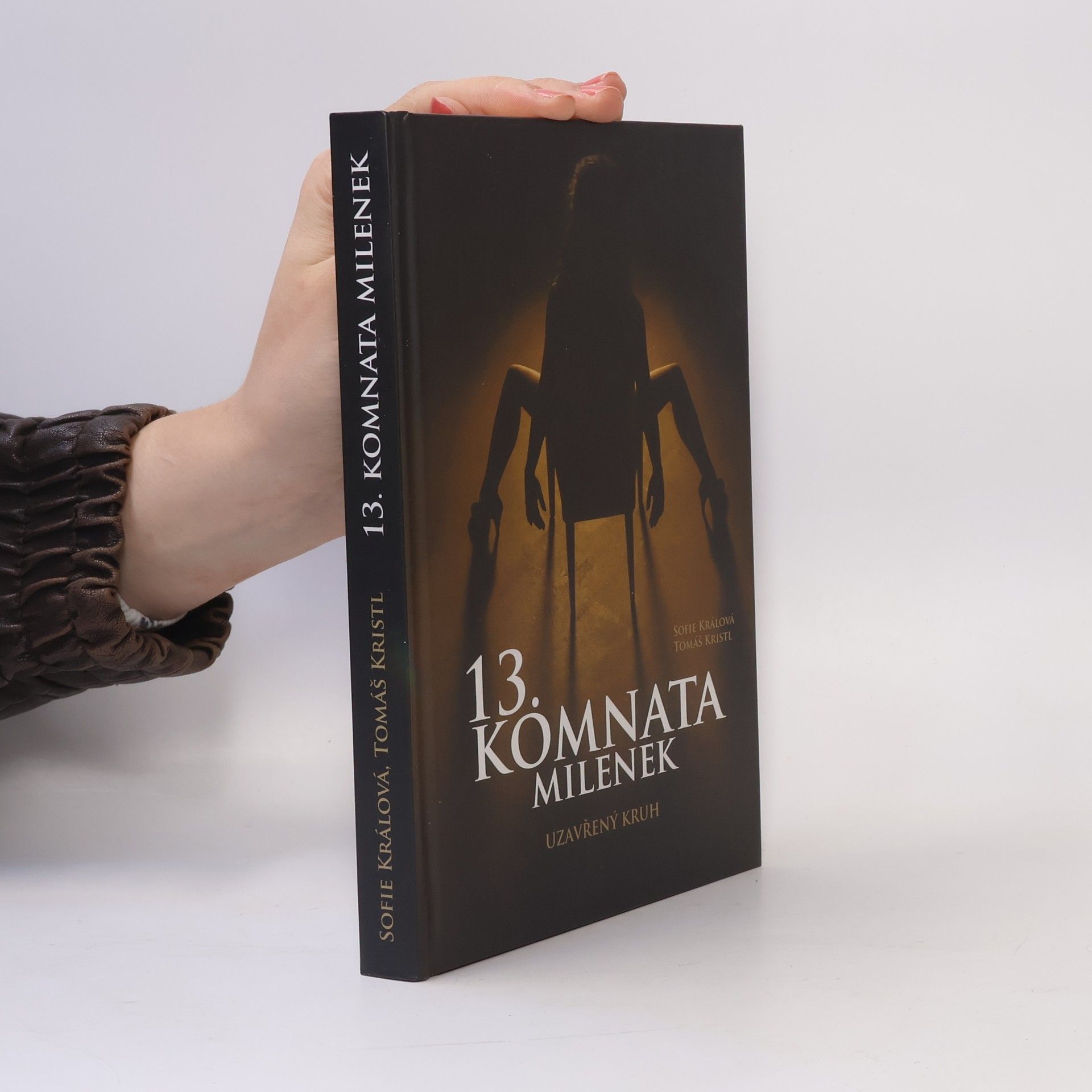 Tomáš Kristl 13. komnata milenek. Uzavřený kruh