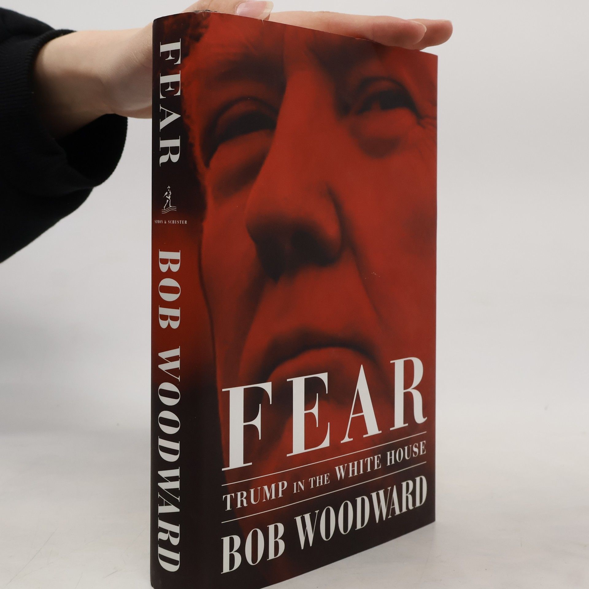 Bob Woodward Fear. Trump in the White House