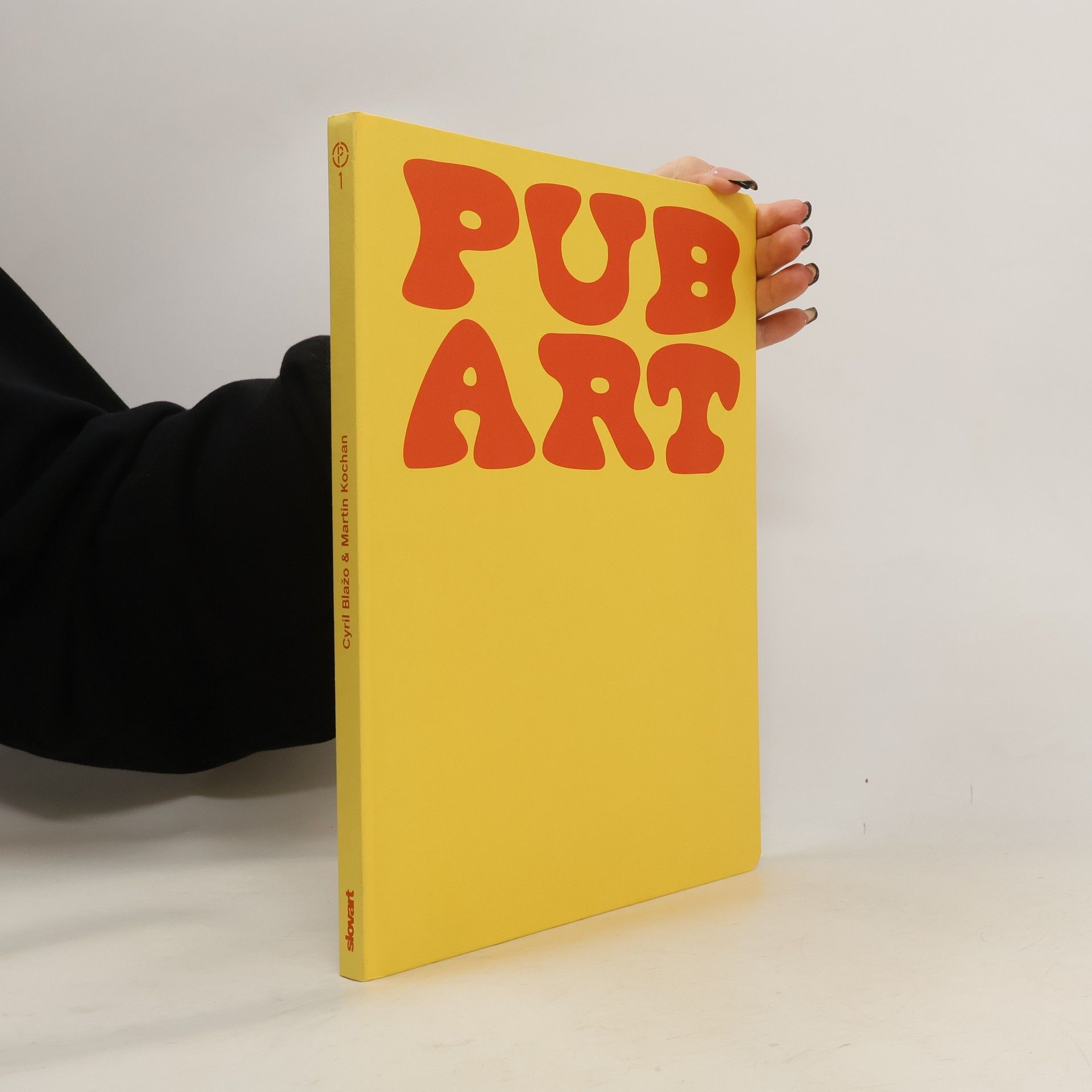 Cyril Blažo Pub Art