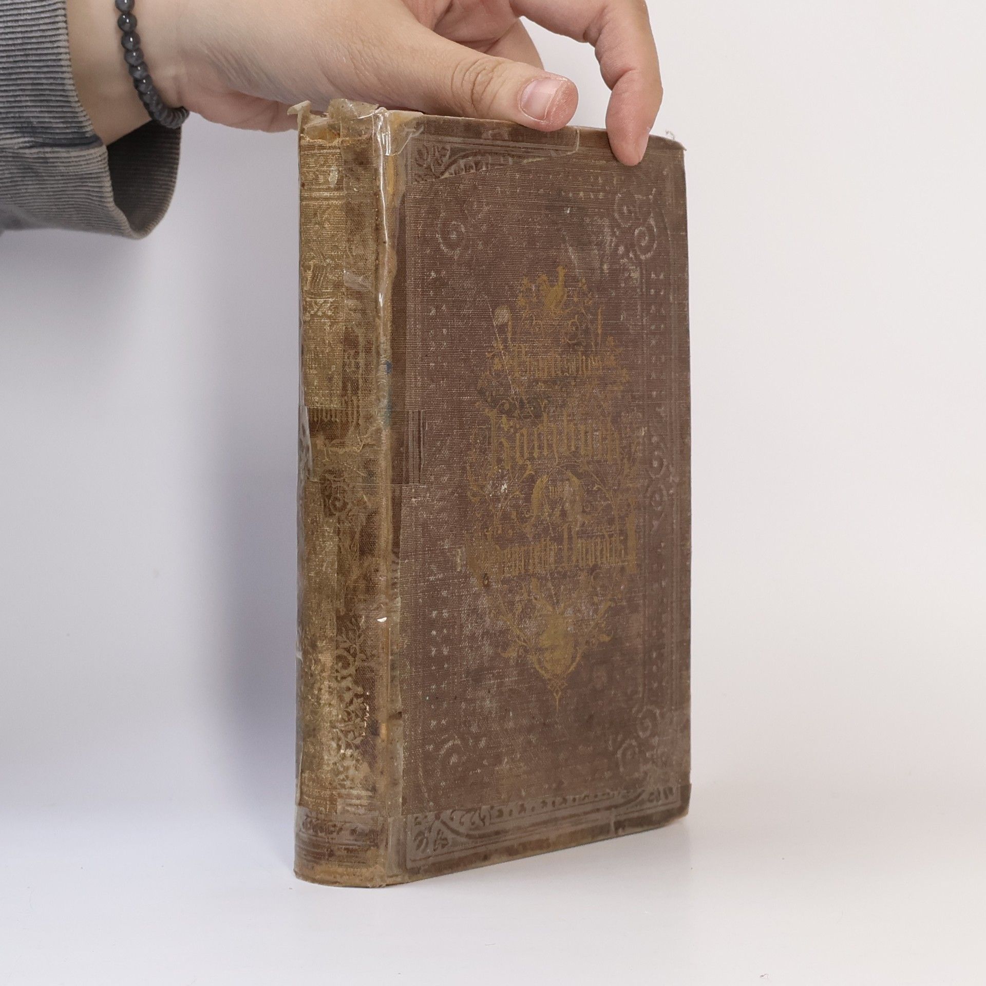 Henriette Davidis Praktisches Kochbuch für die gewöhnliche und feinere Küche