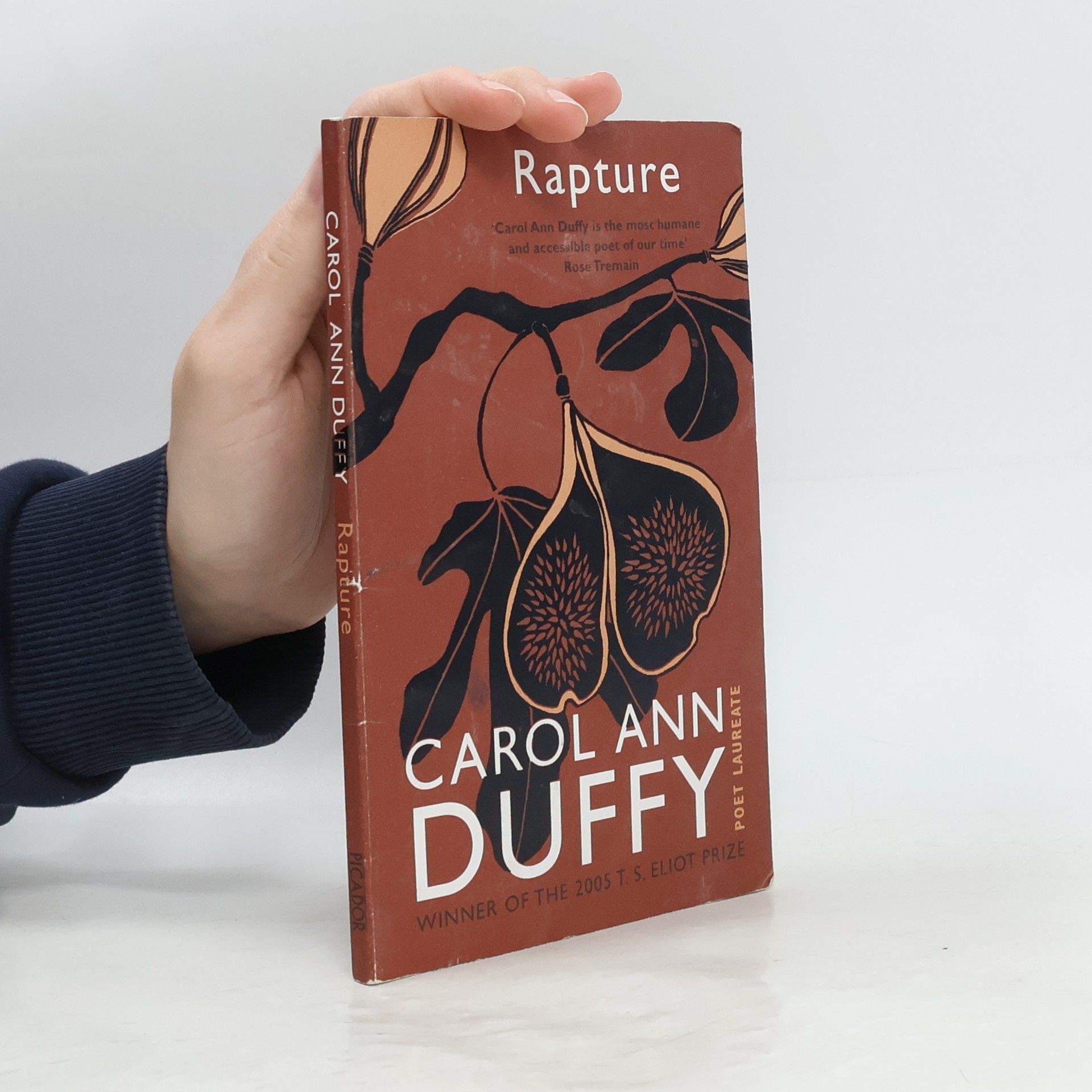 Carol Ann Duffy Rapture