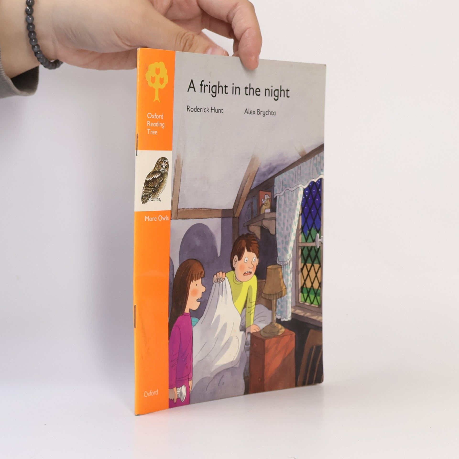 Roderick Hunt Oxford Reading Tree - 6A: A Fright in the Night