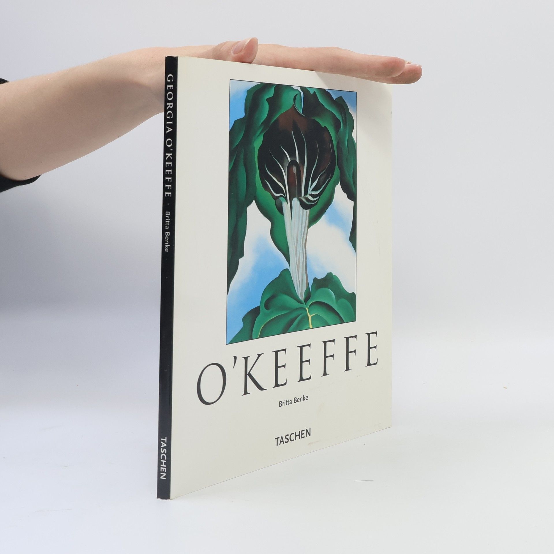 Georgia O'Keeffe O'Keeffe. Kleine Reihe - Kunst