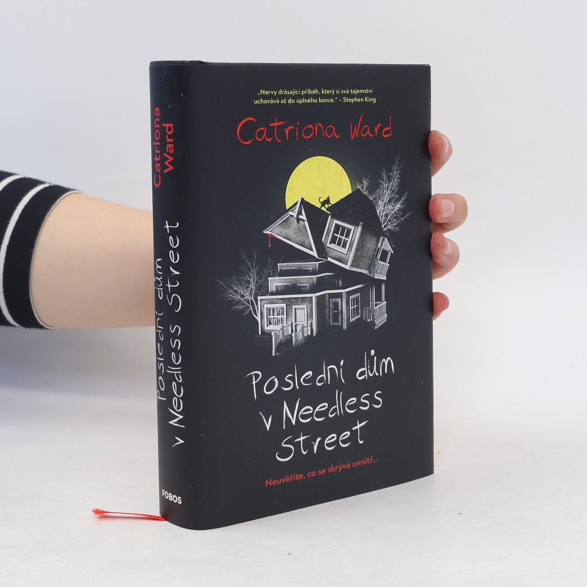 Catriona Ward Poslední dům v Needless Street